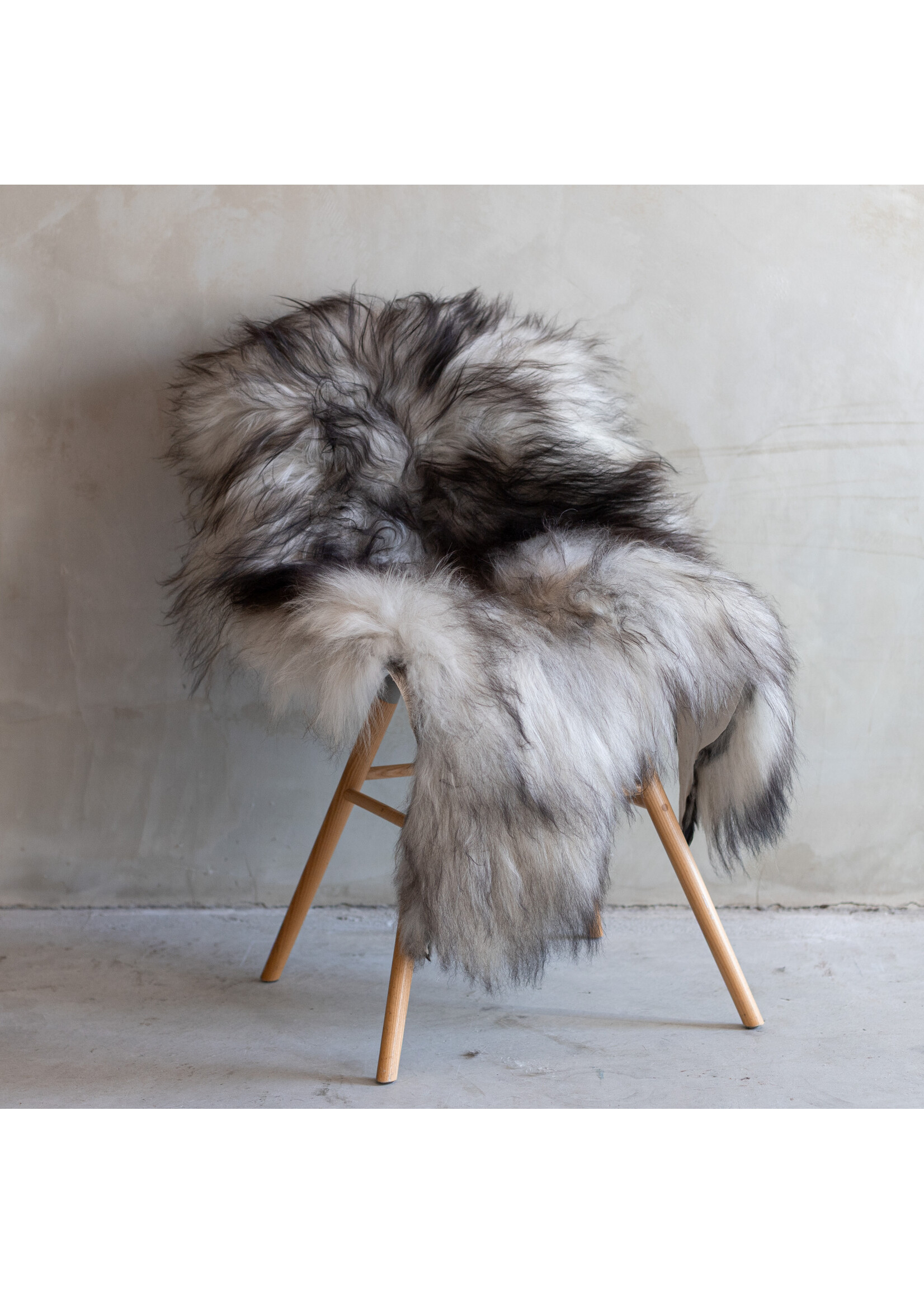 Van Buren sinds 1861 Icelandic sheepskin natural grey - 108x73cm - SVV-301