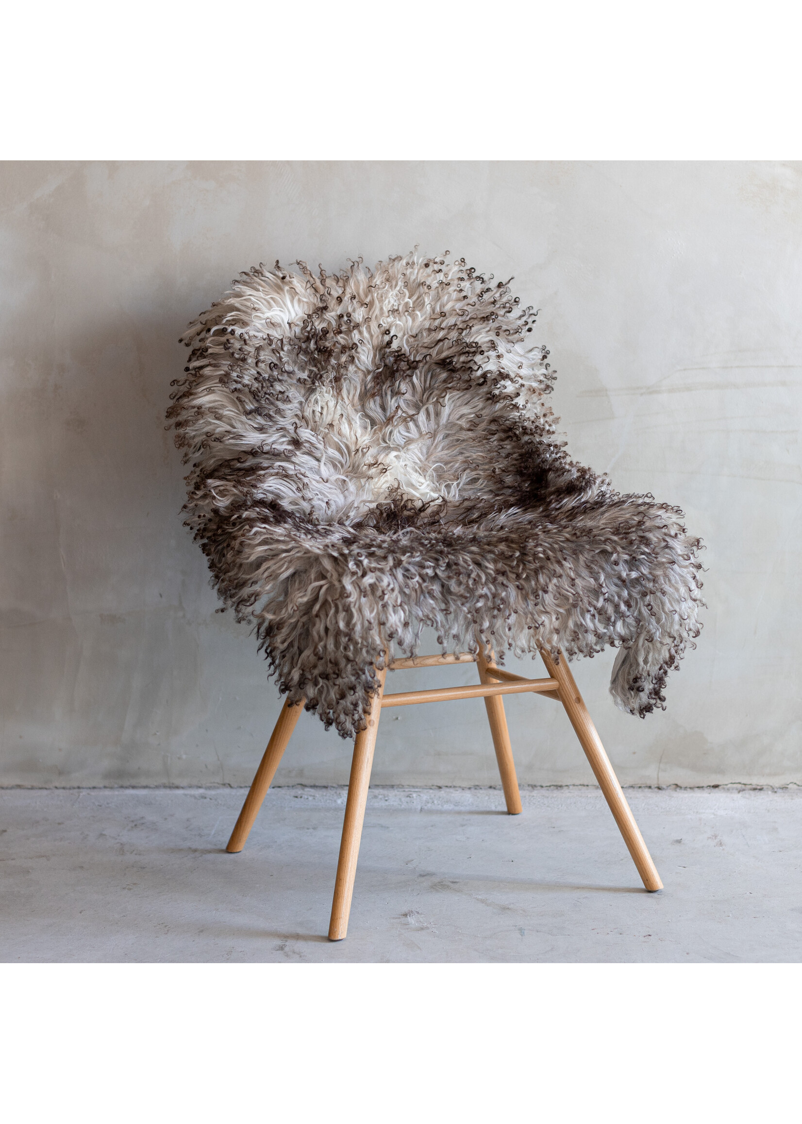Van Buren sinds 1861 Austrian Mountain Sheep Blended - 100x66cm - SVV-298