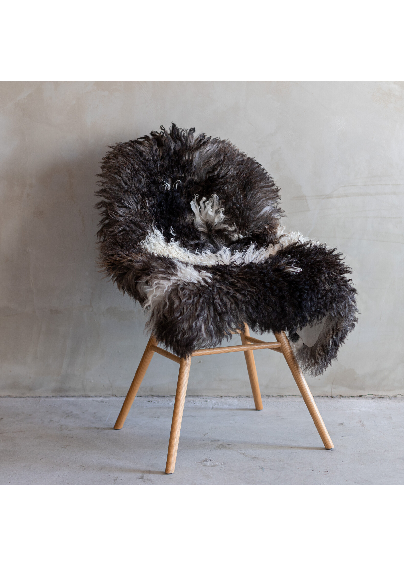 Van Buren sinds 1861 Austrian Mountain Sheep Blended - 92x63cm - SVV-297