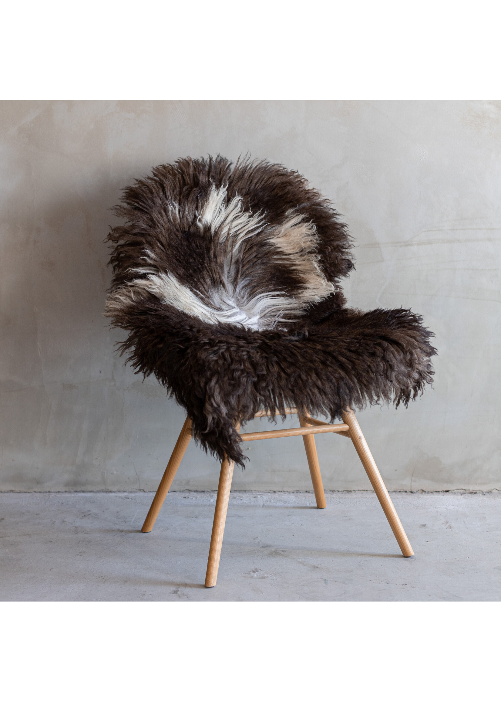 Van Buren sinds 1861 Austrian Mountain Sheep Blended - 95x53cm - SVV-295