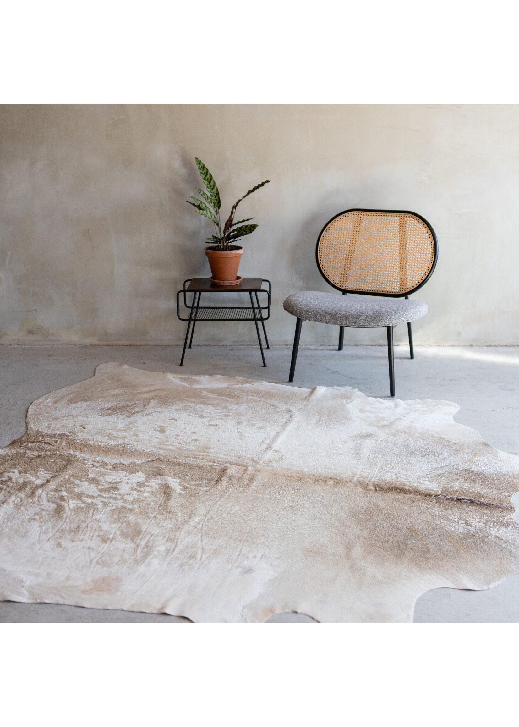 Van Buren sinds 1861 Cowhide champagne - 3-4m² - KH-002