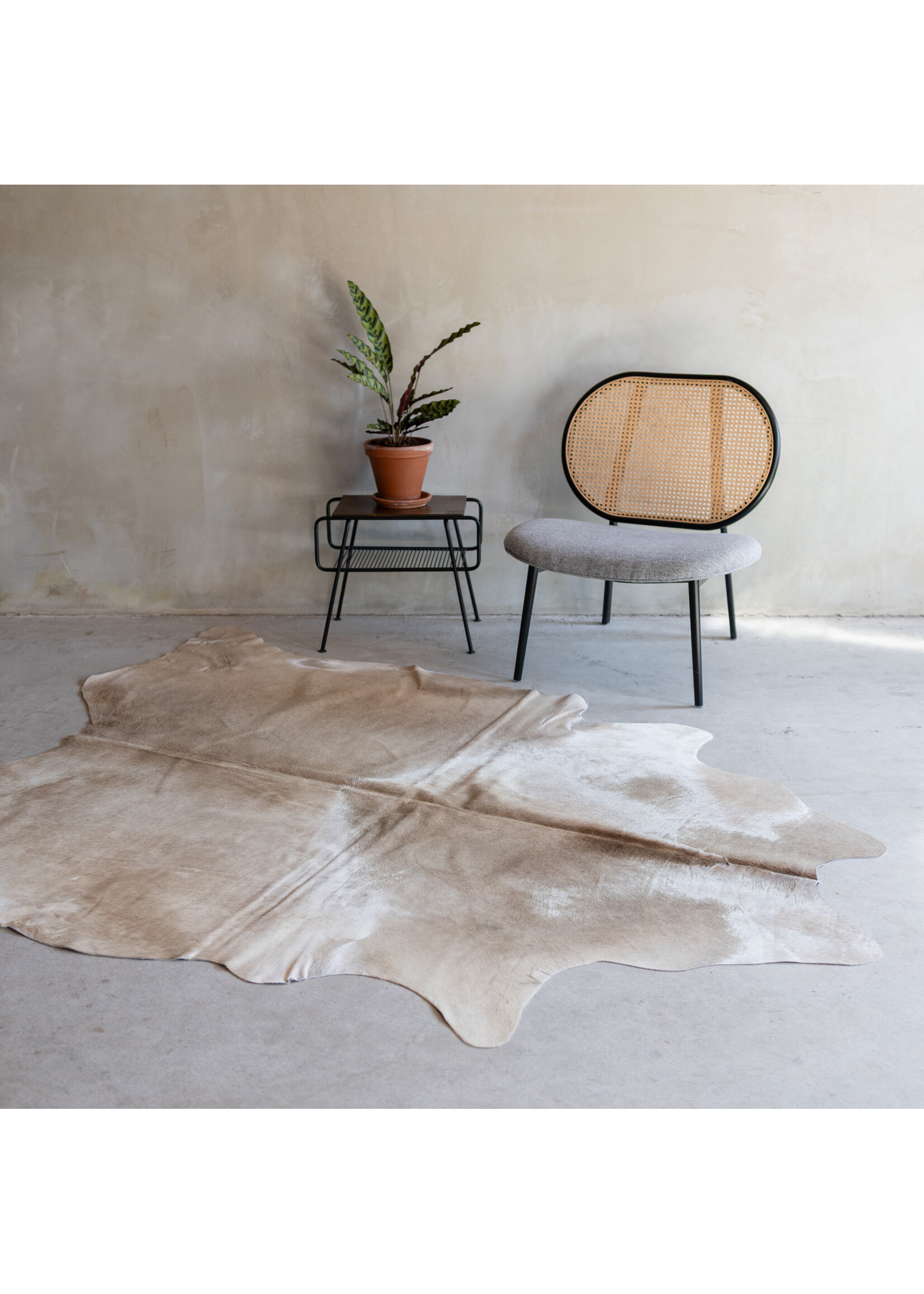 Van Buren sinds 1861 Cowhide champagne - 3-4m² - KH-006