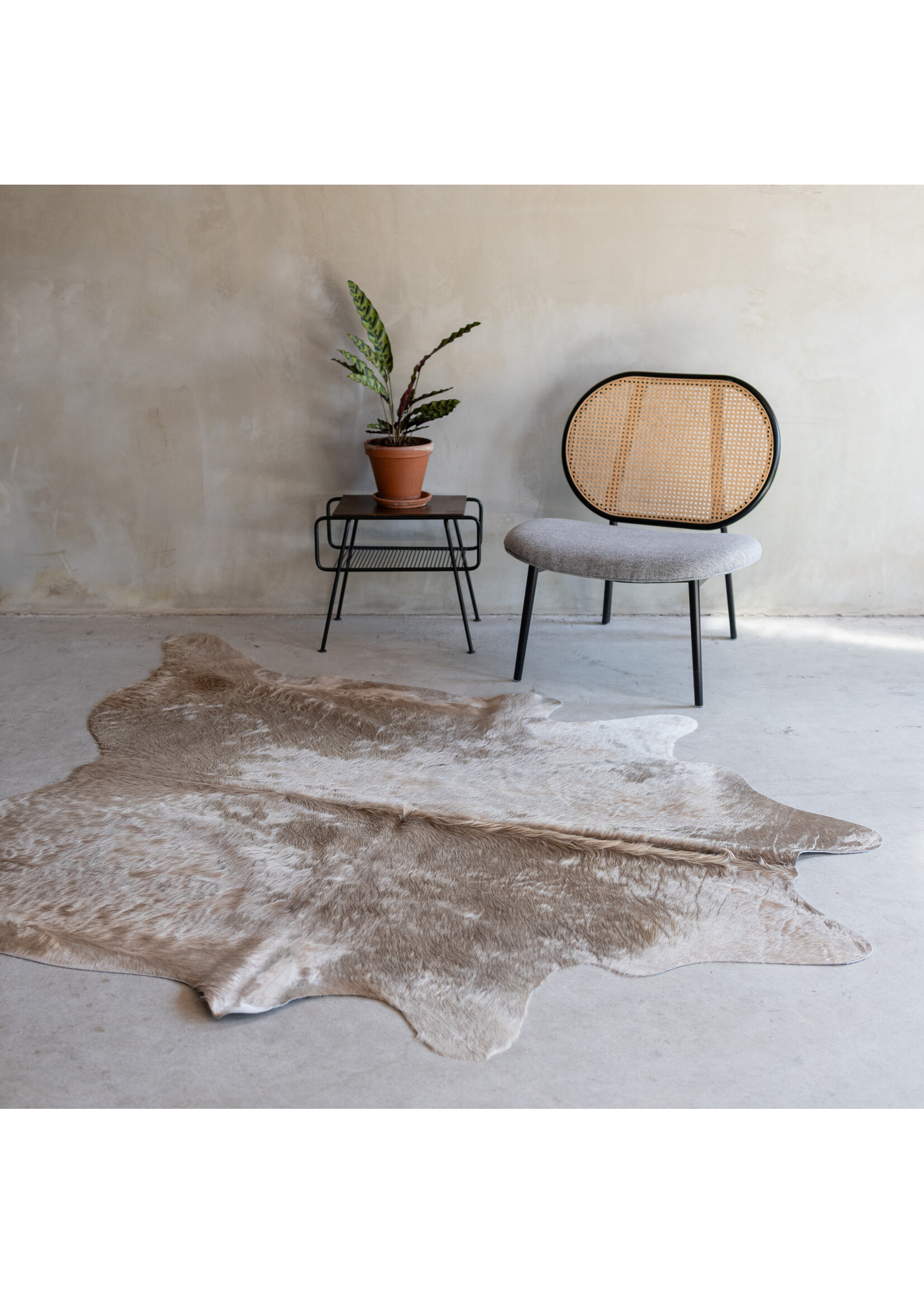 Van Buren sinds 1861 Cowhide champagne - 3-4m² - KH-007