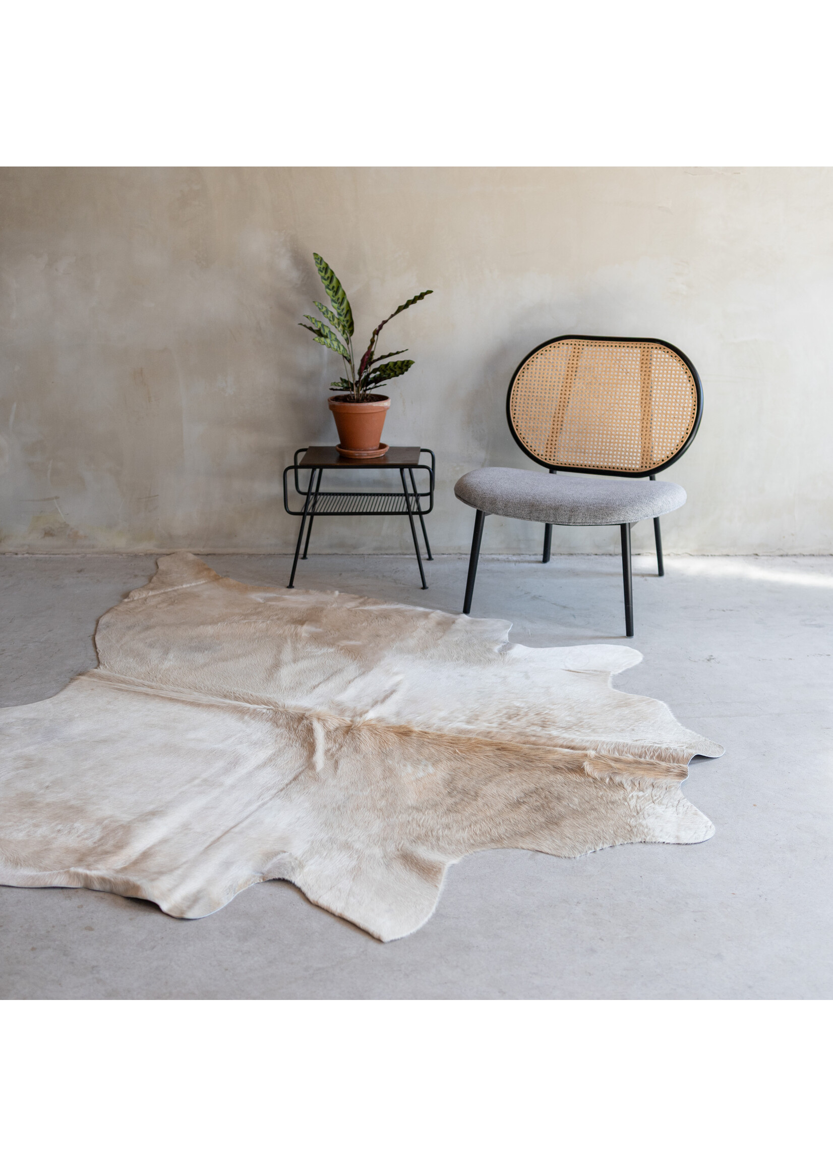 Van Buren sinds 1861 Cowhide champagne - 3-4m² - KH-008