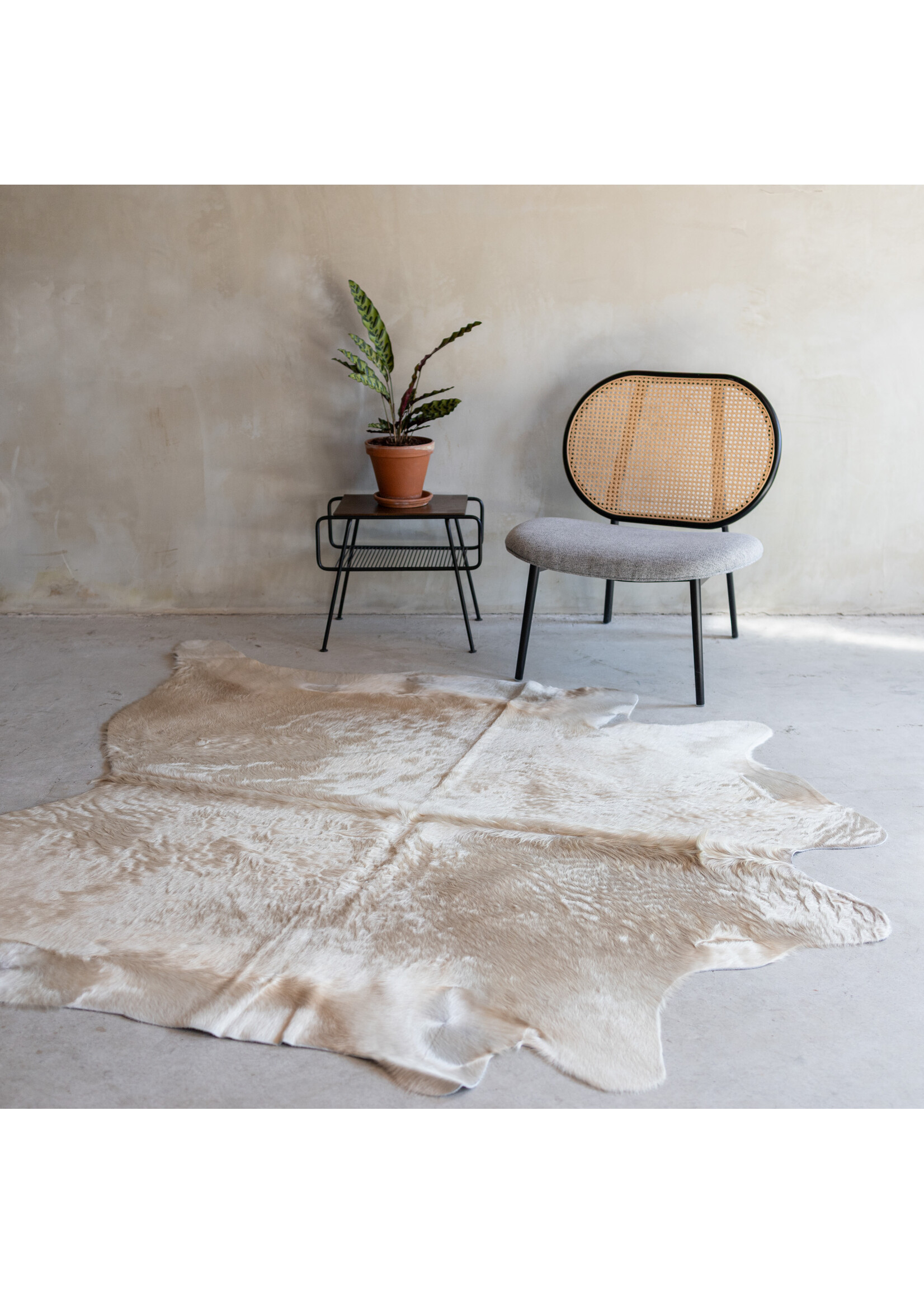 Van Buren sinds 1861 Cowhide champagne - 3-4m² - KH-010