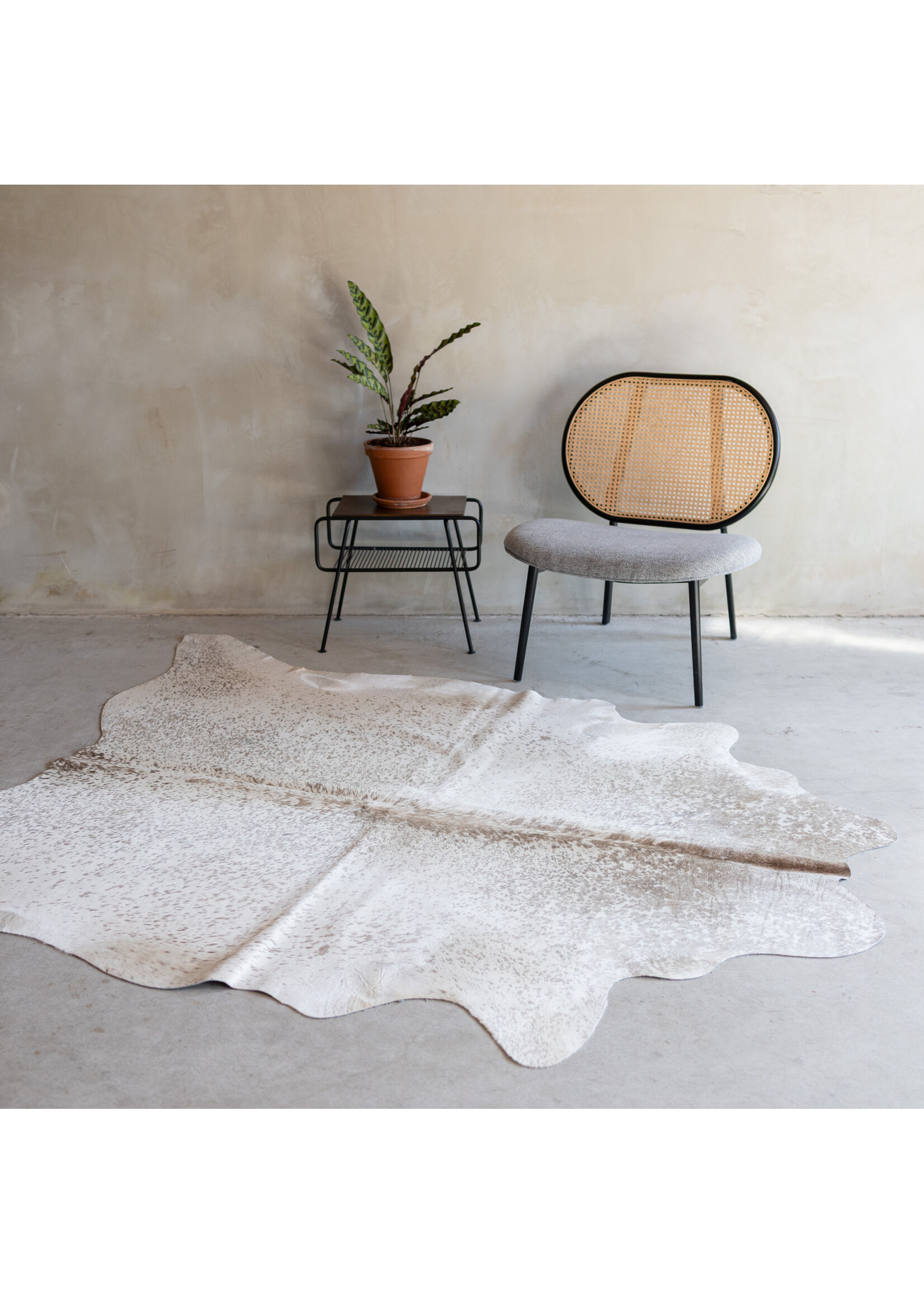 Van Buren sinds 1861 Cowhide spotted - 3-4m² - KH-011