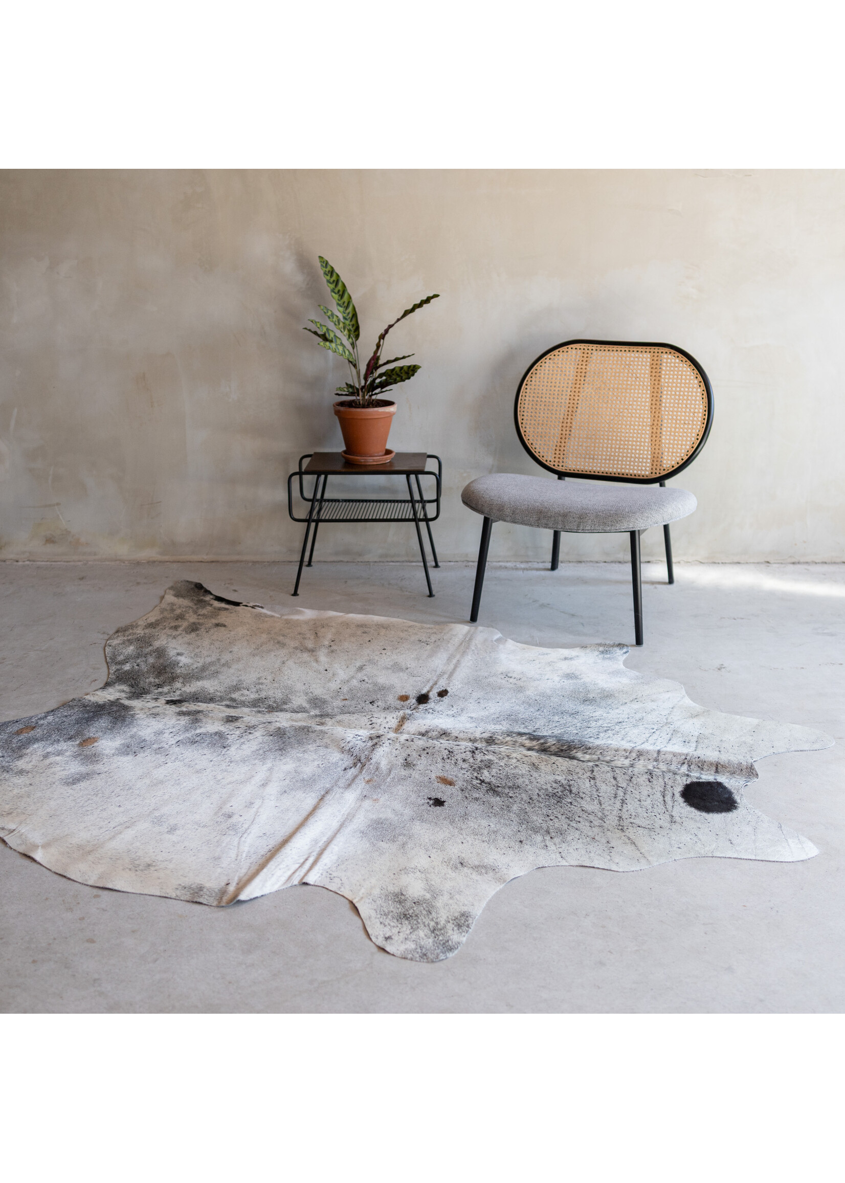 Van Buren sinds 1861 Kuhfell spotted - 3-4m² - KH-012