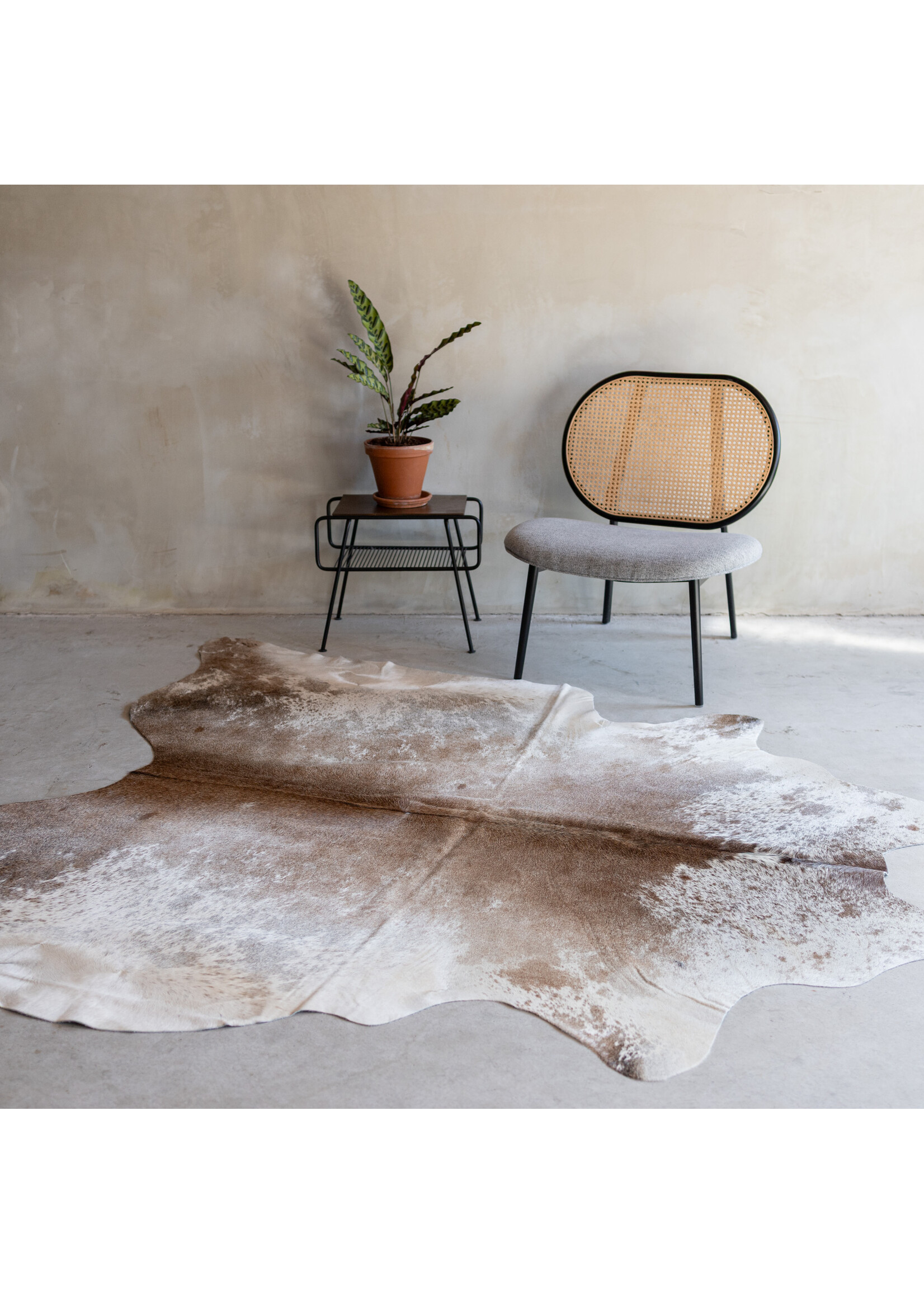 Van Buren sinds 1861 Kuhfell spotted - 3-4m² - KH-013