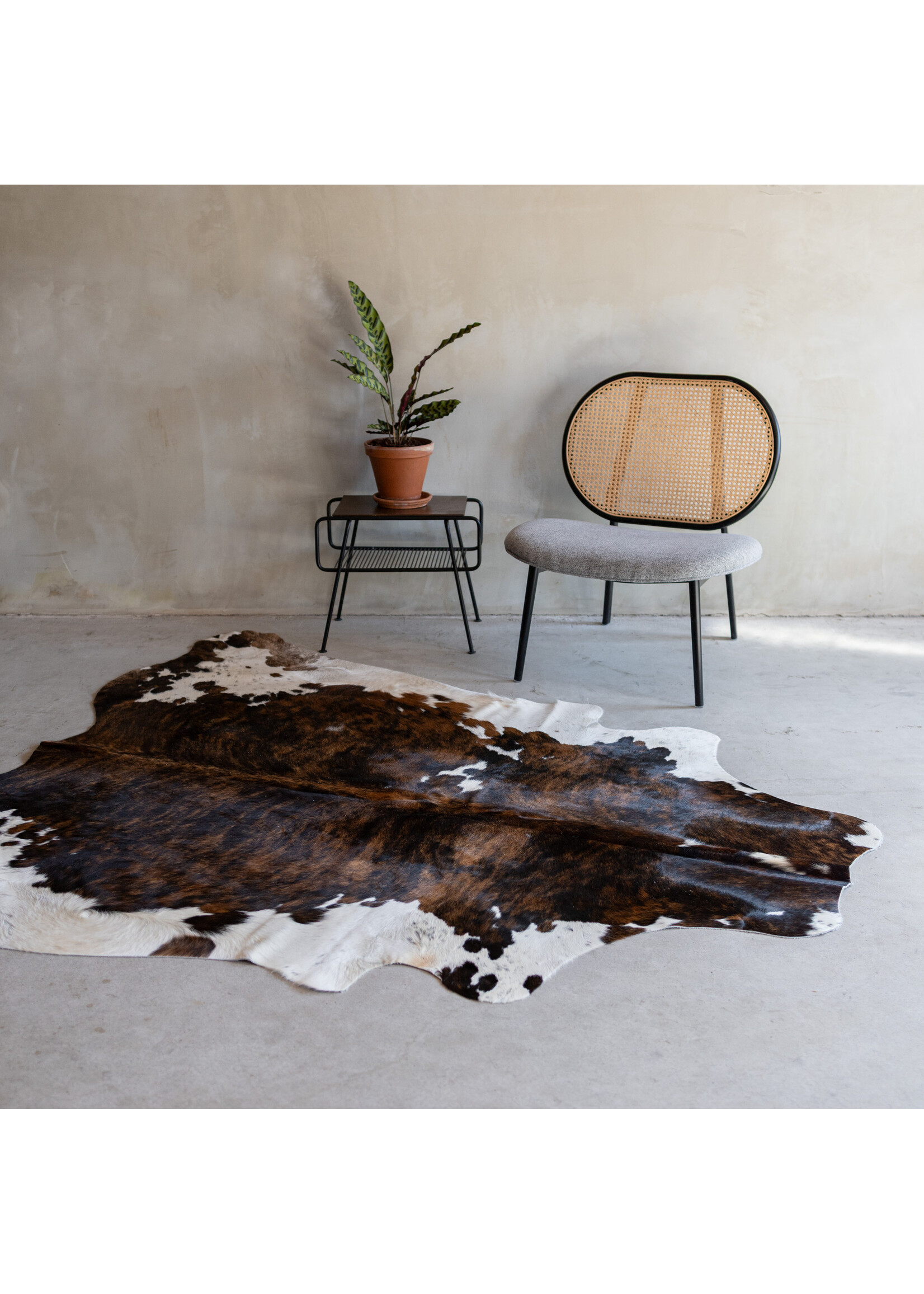 Van Buren sinds 1861 Cowhide tricolor - 3-4m² - KH-018