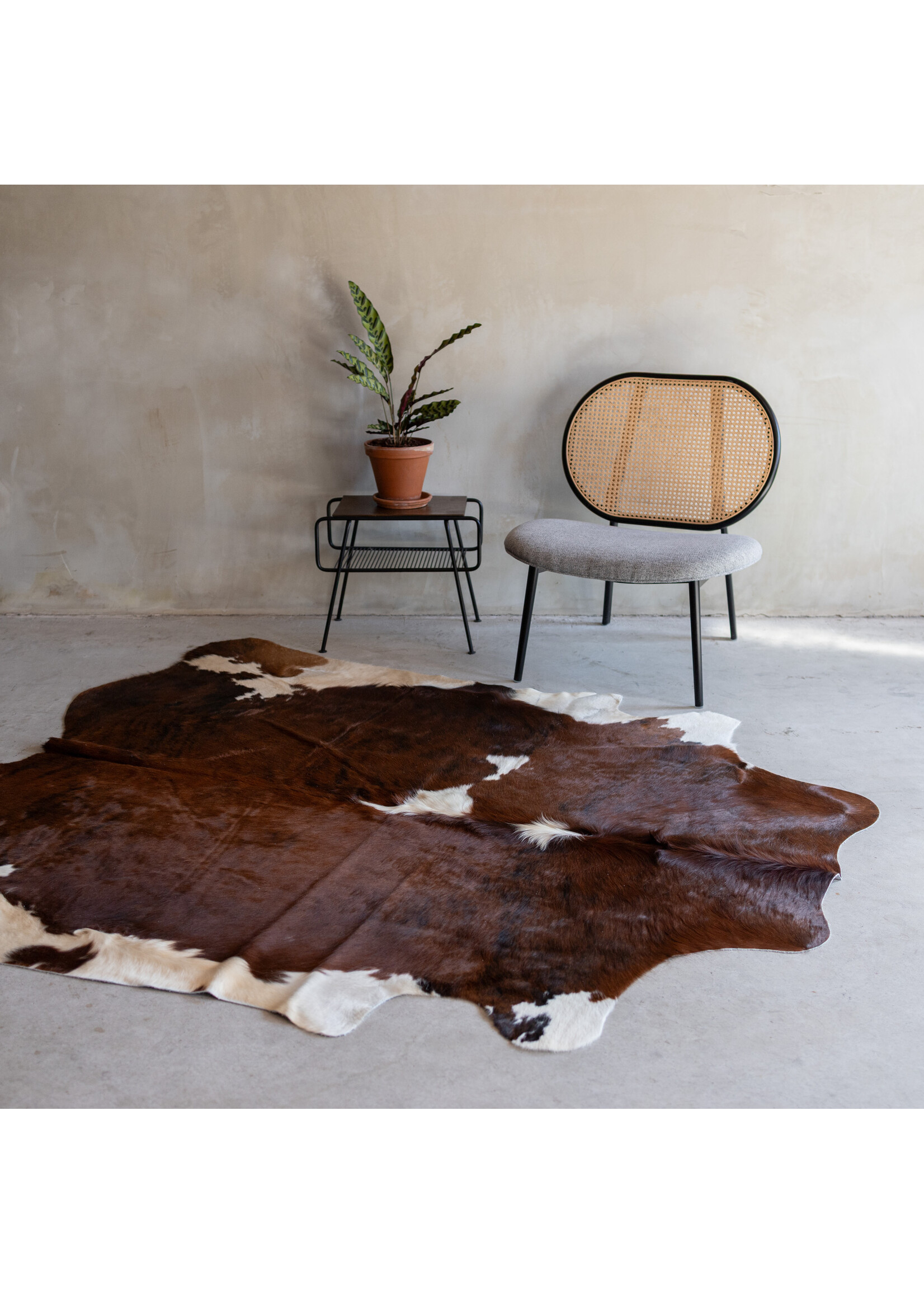 Van Buren sinds 1861 Cowhide tricolor - 3-4m² - KH-019