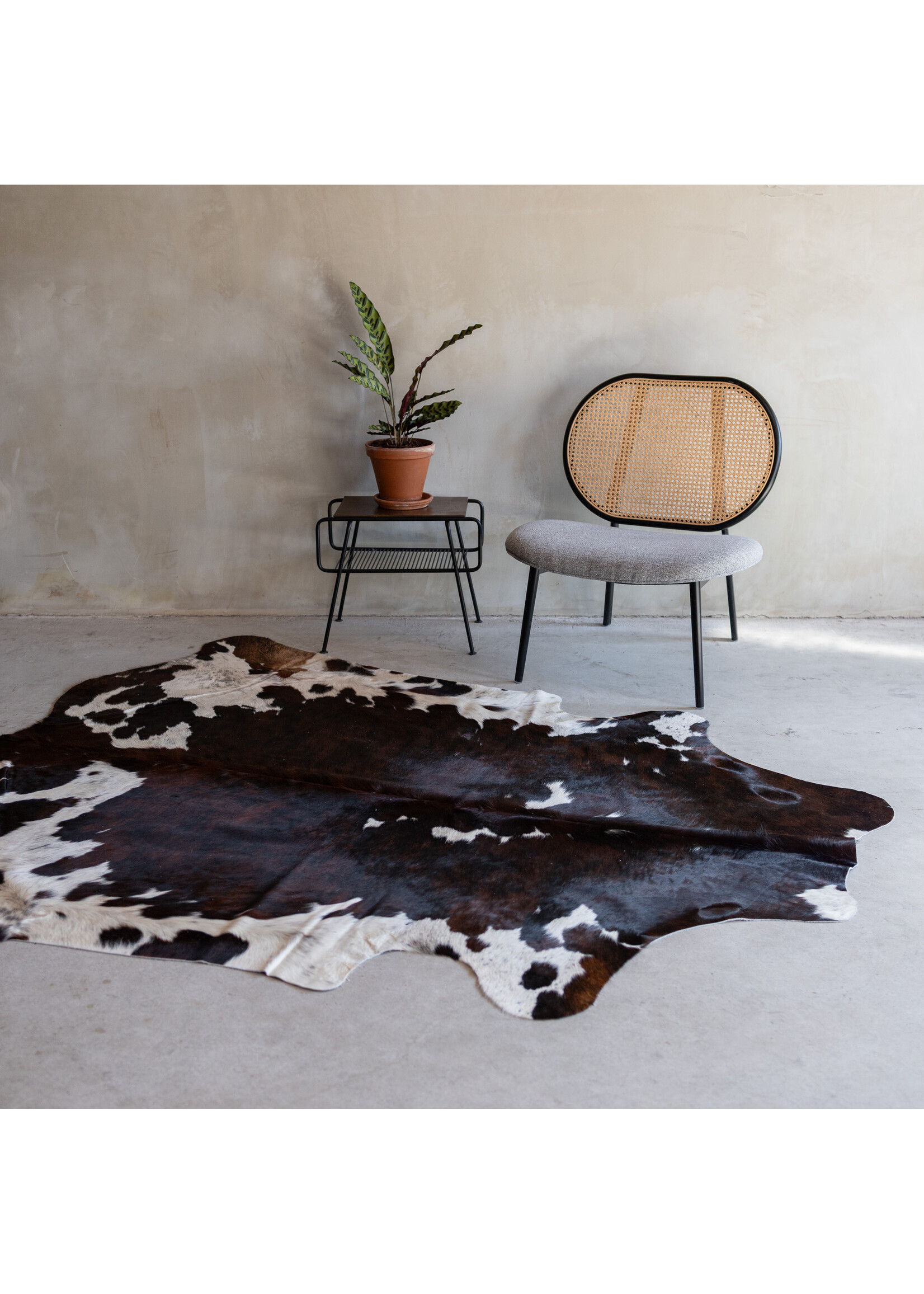 Van Buren sinds 1861 Cowhide tricolor - 3-4m² - KH-020