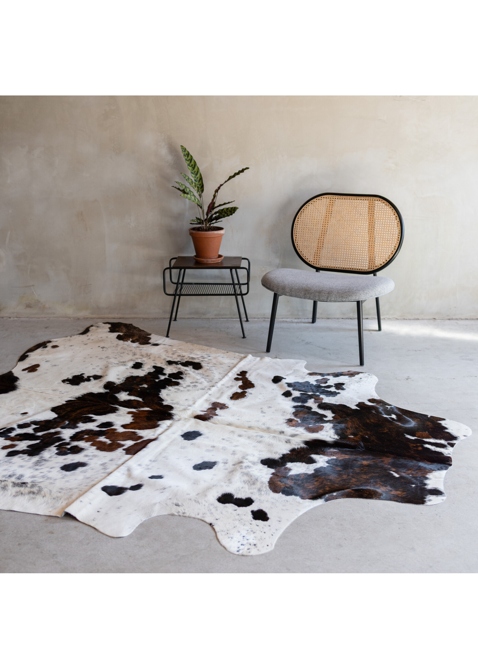 Van Buren sinds 1861 Cowhide tricolor - 3-4m² - KH-021