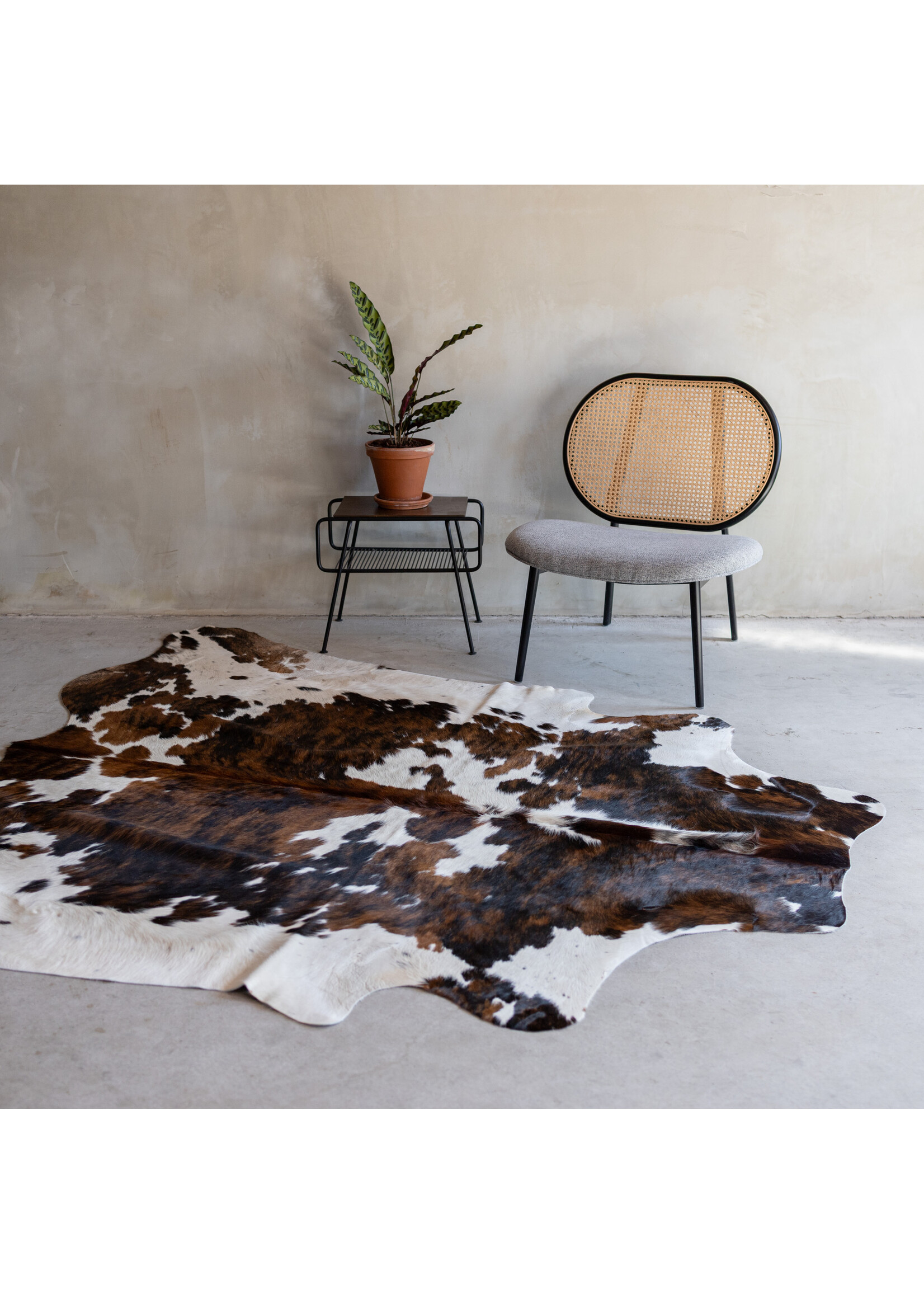 Van Buren sinds 1861 Cowhide tricolor - 3-4m² - KH-022
