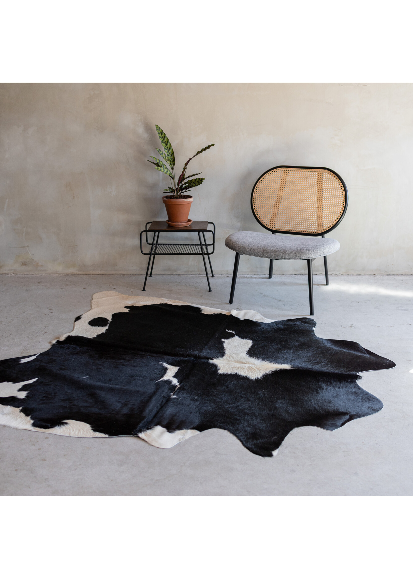 Van Buren sinds 1861 Kuhfell schwarz und weiß - 3-4m² - KH-033