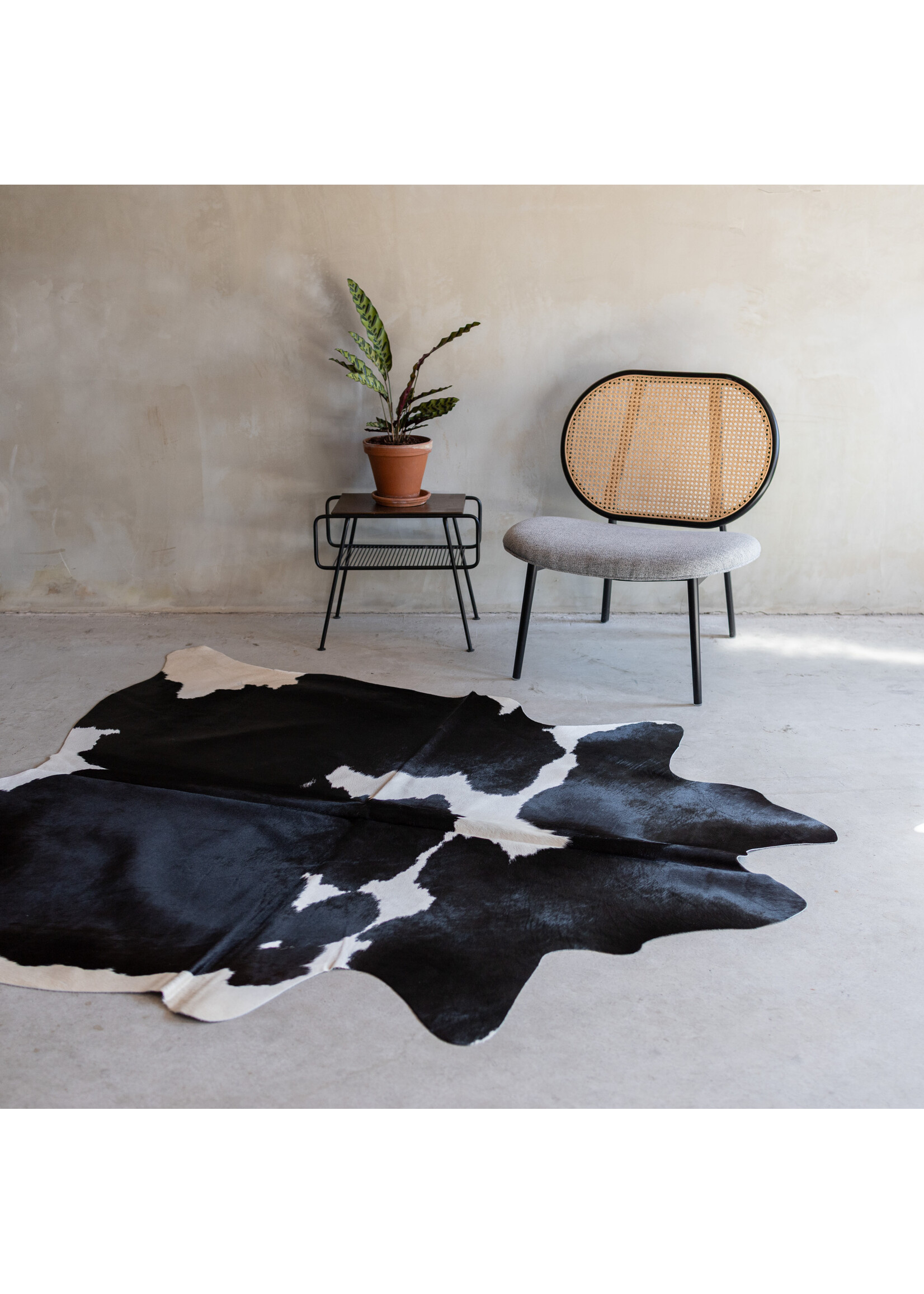 Van Buren sinds 1861 Koeienhuid zwartbont - 3-4m² - KH-034