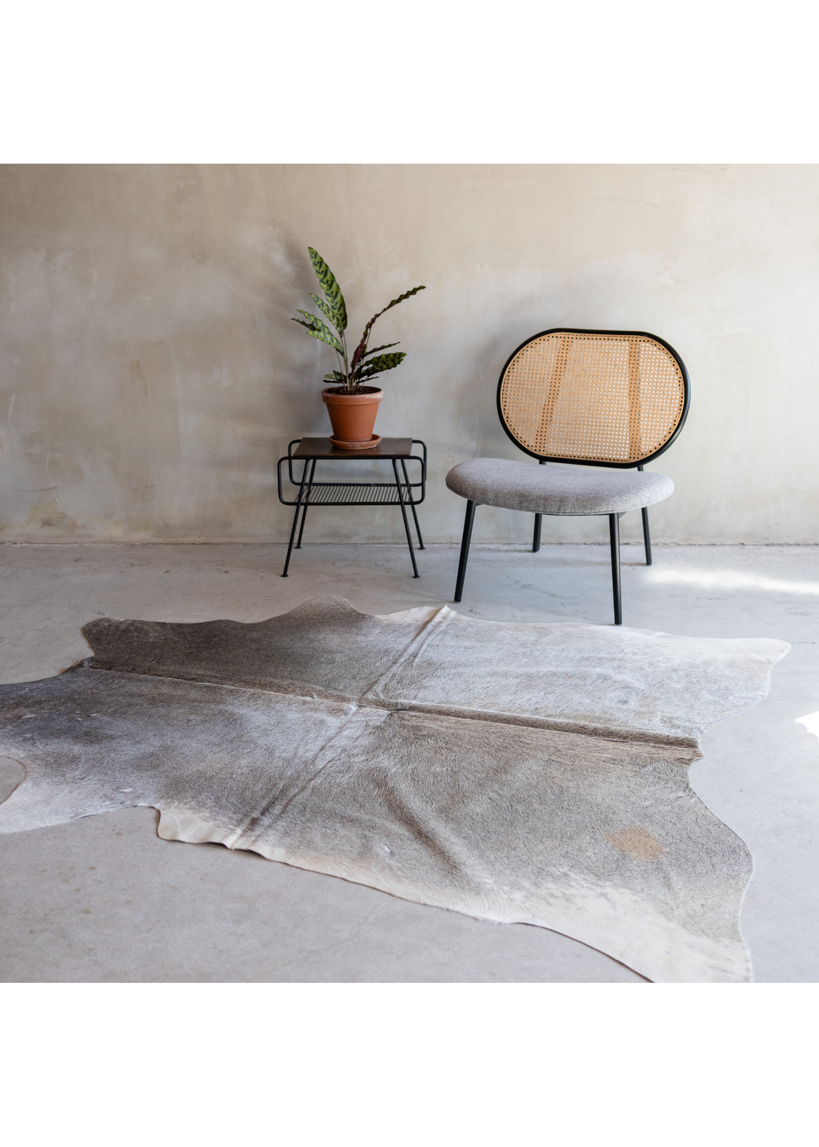 Van Buren sinds 1861 Cowhide greybeige - 3-4m² - KH-036