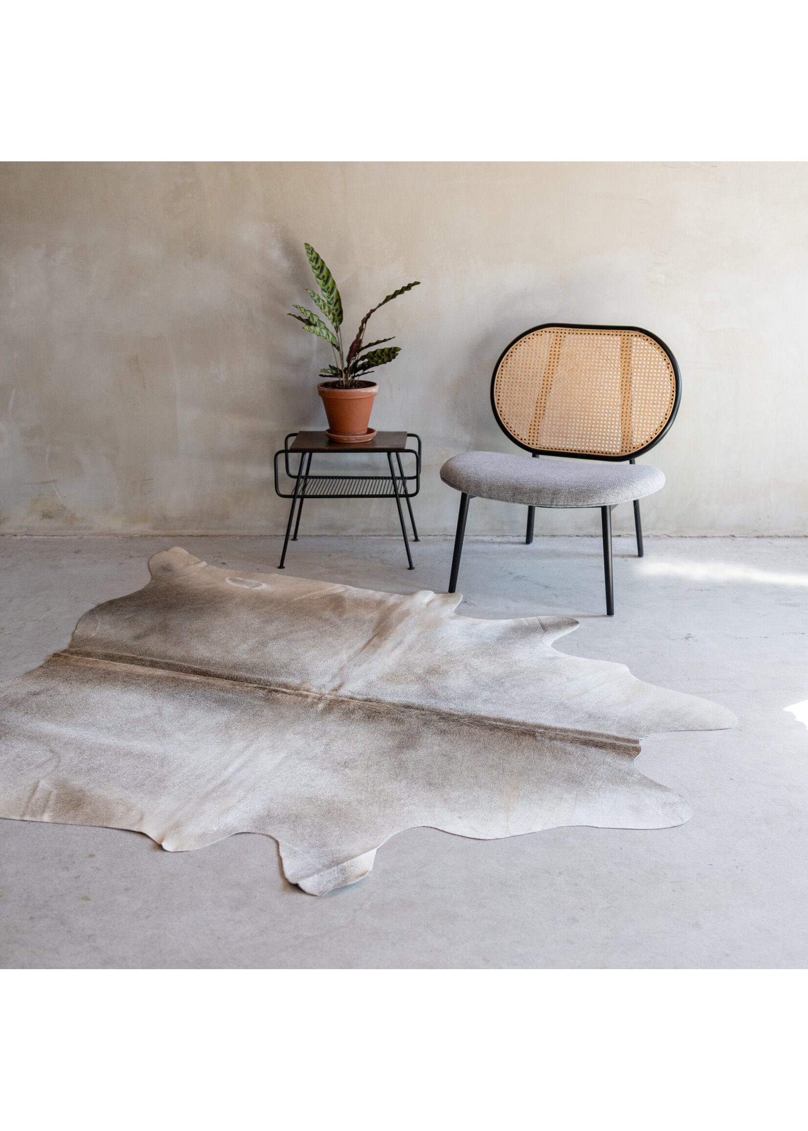 Van Buren sinds 1861 Cowhide greybeige - 3-4m² - KH-037