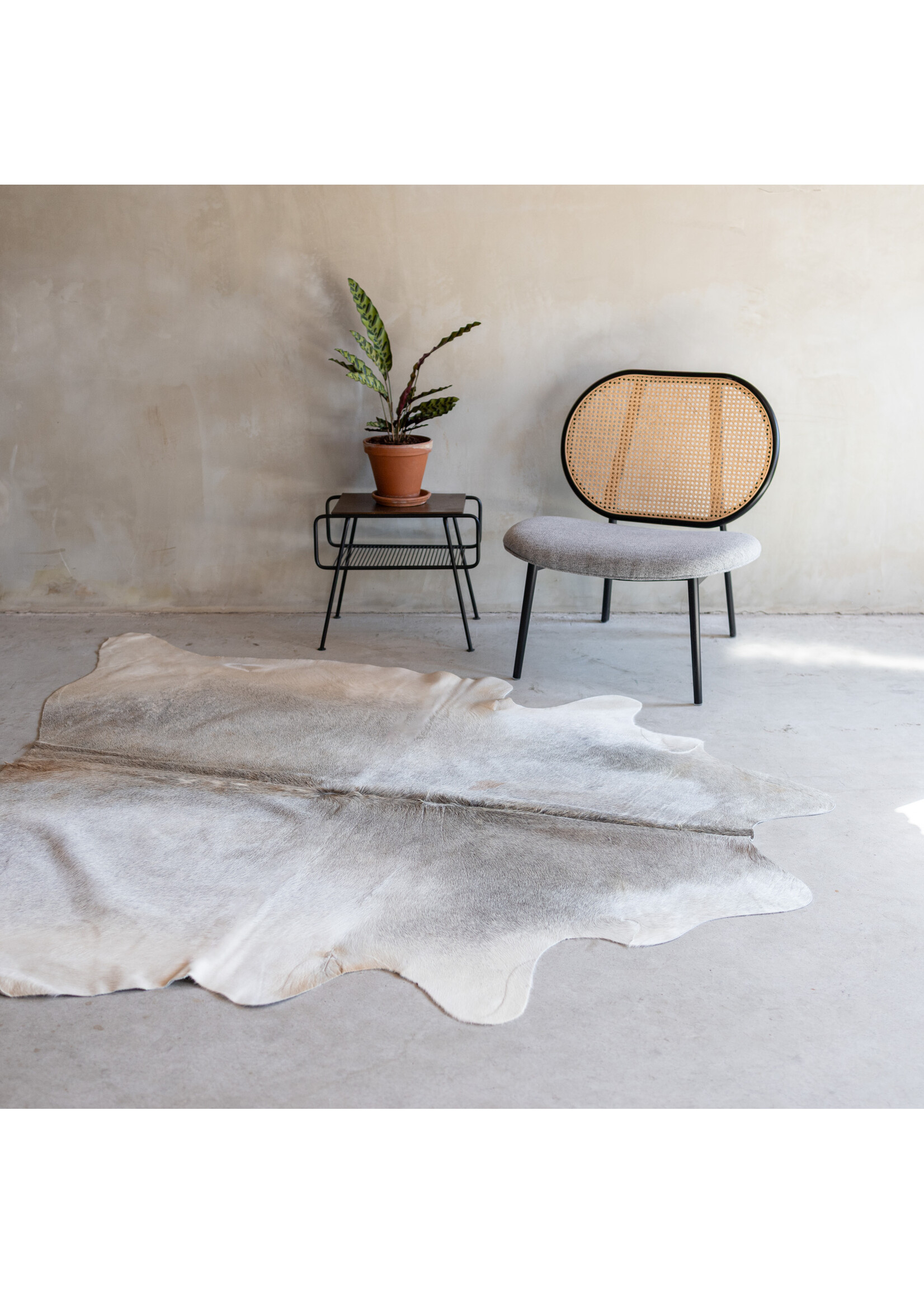 Van Buren sinds 1861 Cowhide greybeige - 3-4m² - KH-038