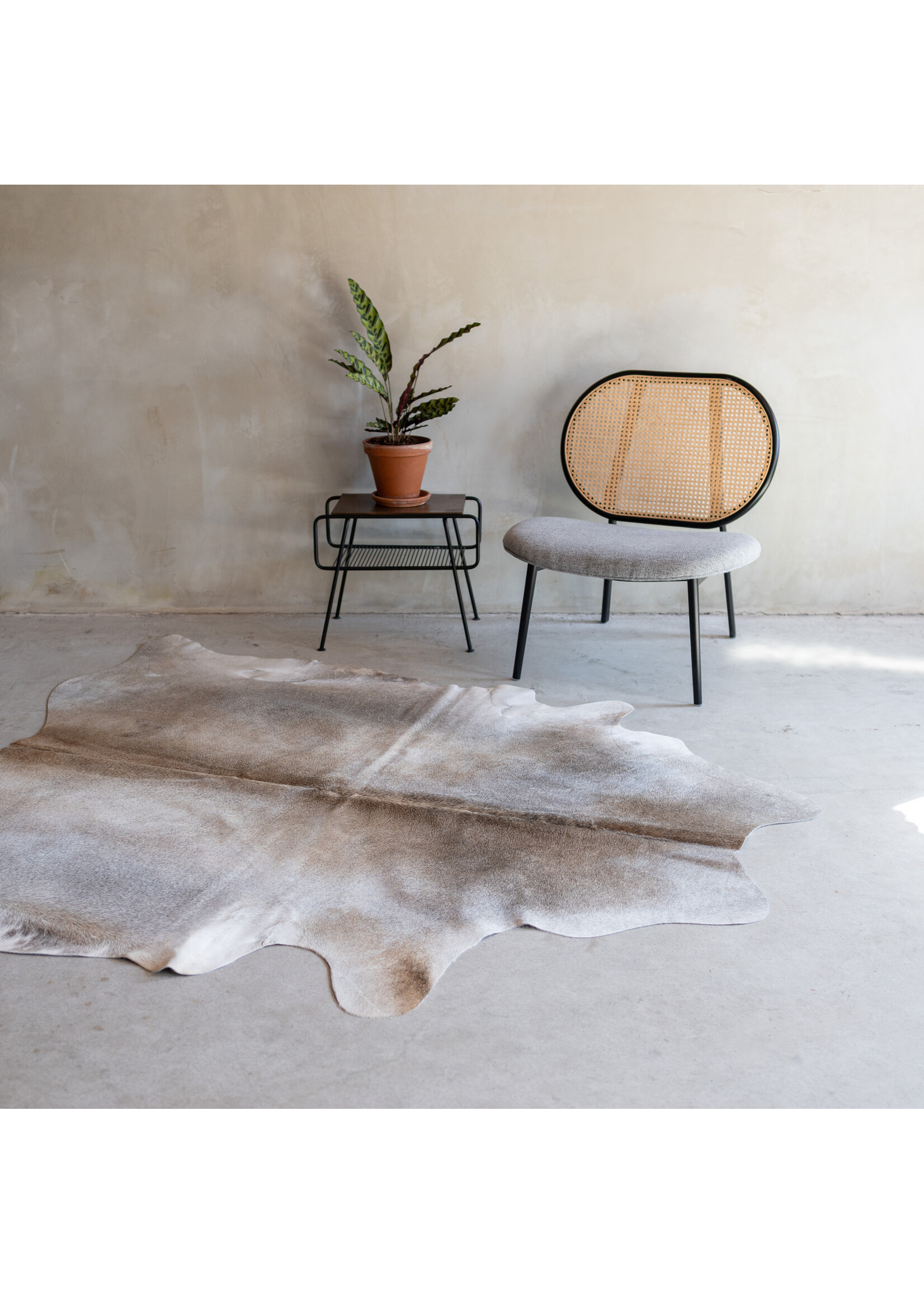 Van Buren sinds 1861 Cowhide greybeige - 3-4m² - KH-040