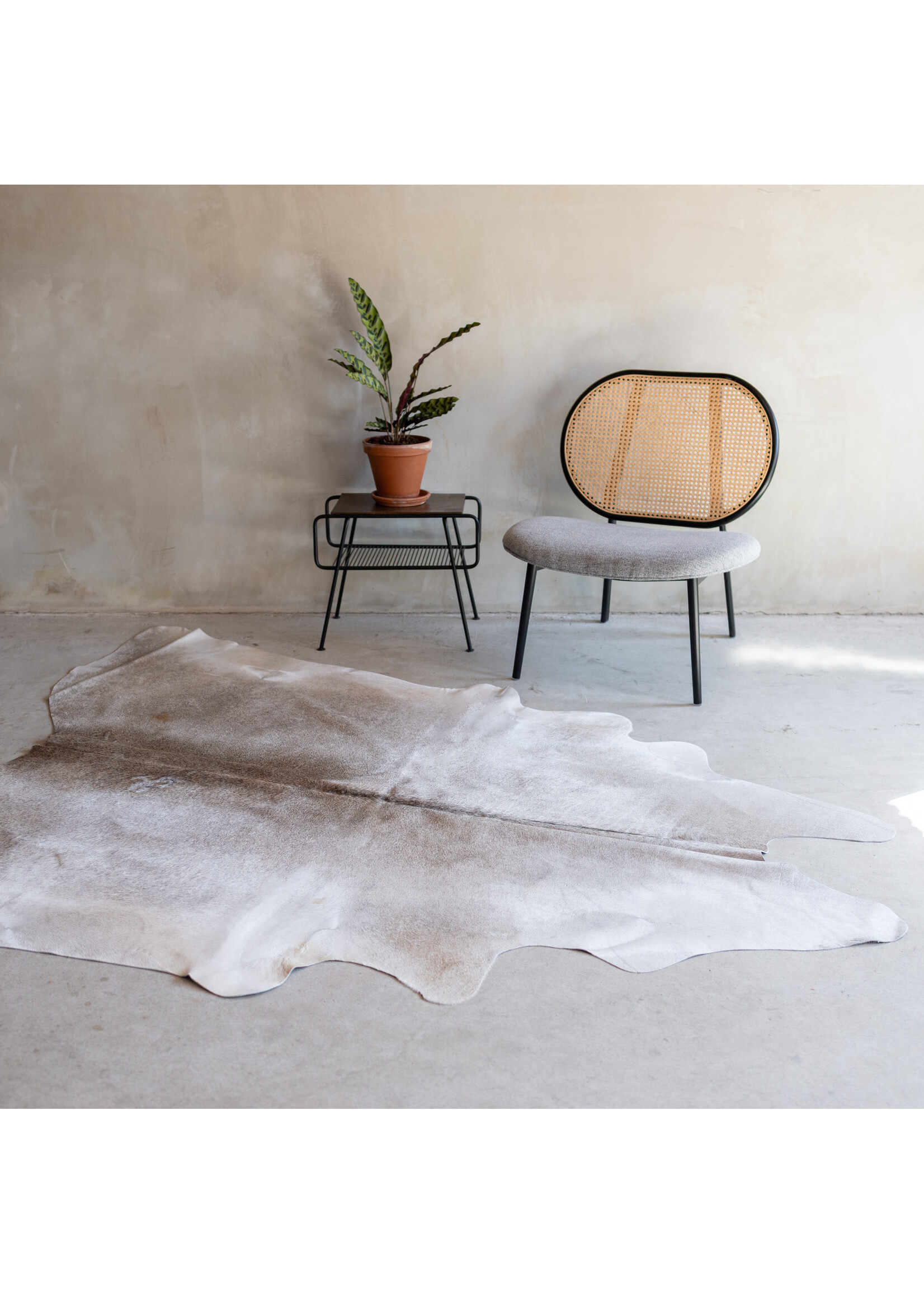 Van Buren sinds 1861 Cowhide greybeige - 3-4m² - KH-043