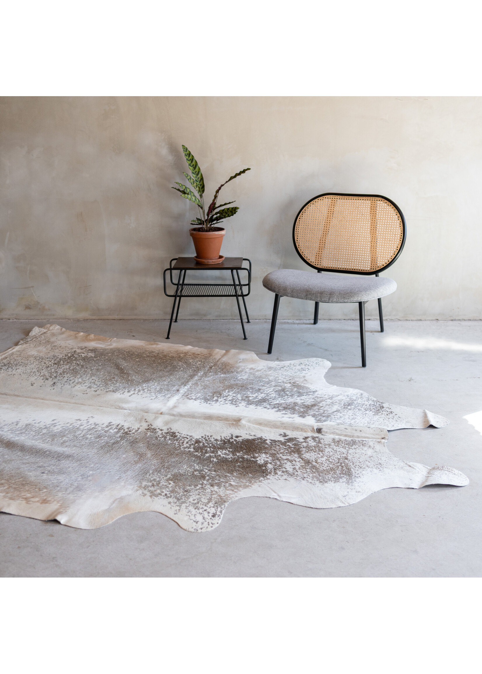 Van Buren sinds 1861 Cowhide greybeige - 3-4m² - KH-044