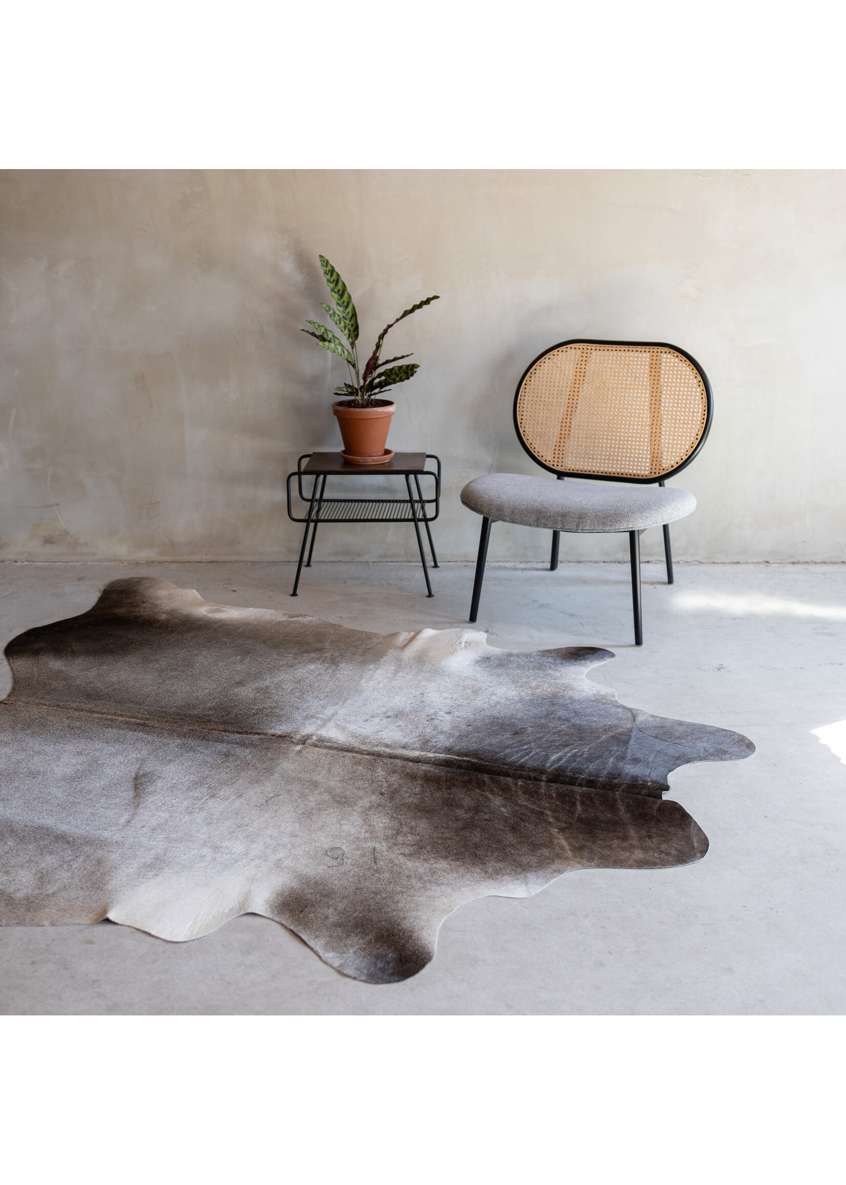 Van Buren sinds 1861 Cowhide greybeige - 3-4m² - KH-045