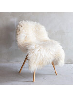 Van Buren sinds 1861 Sheepskin white curly XXL - SVV-451