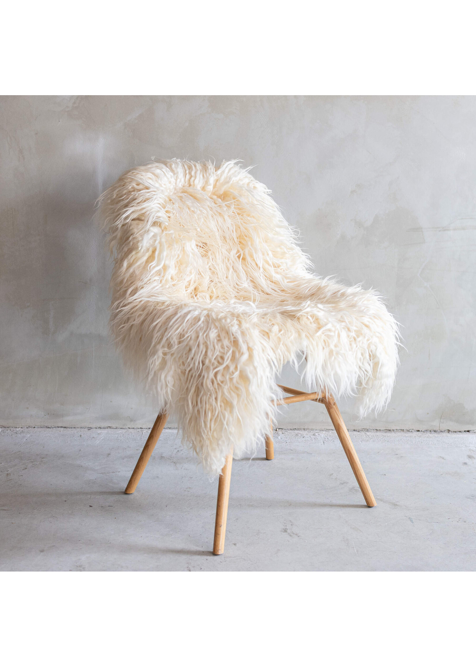 Van Buren sinds 1861 Sheepskin white curly XXL - approx. 110x75cm - SVV-450