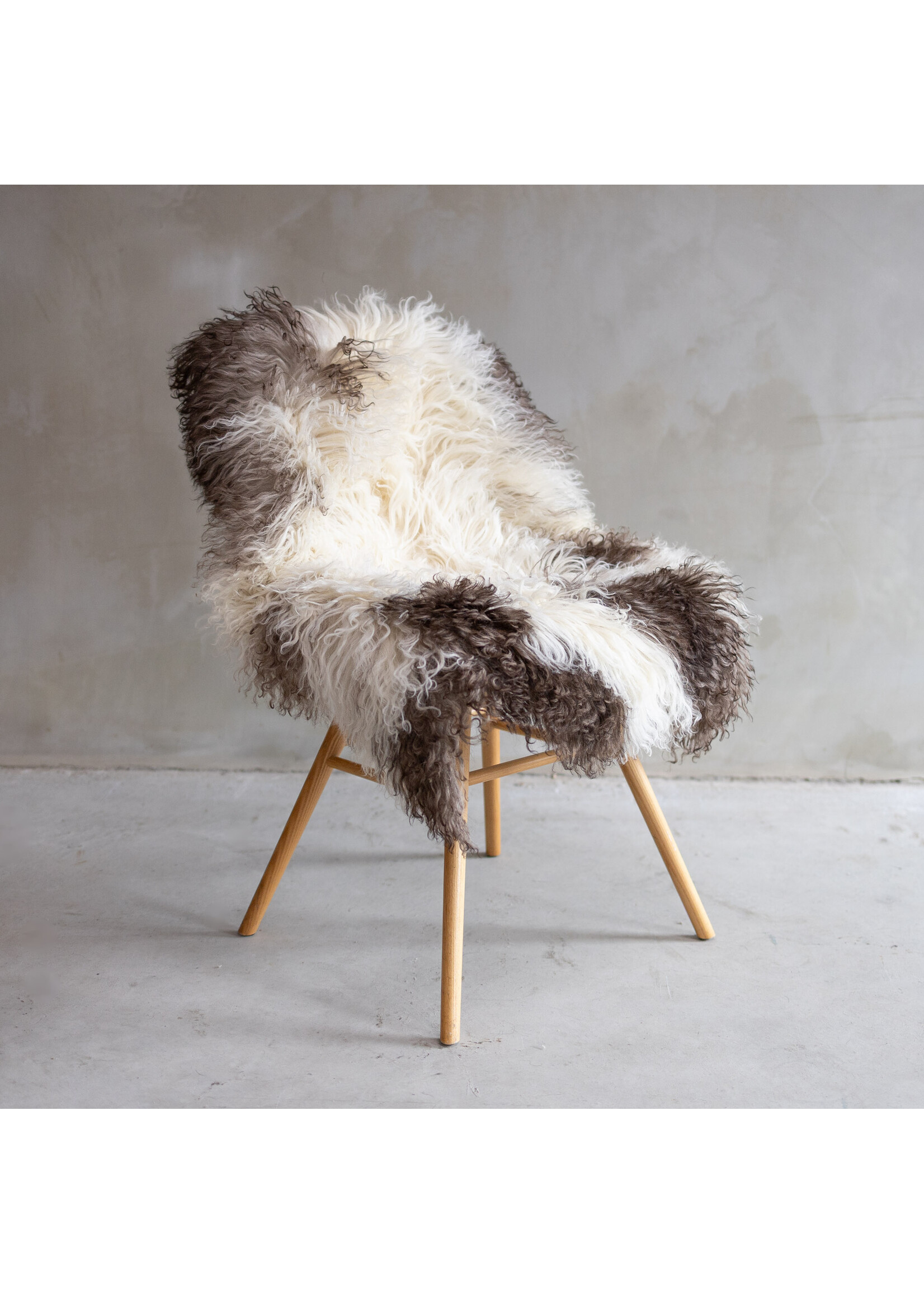 Van Buren sinds 1861 Lockenfell - ca. 105x66cm - SVV-516