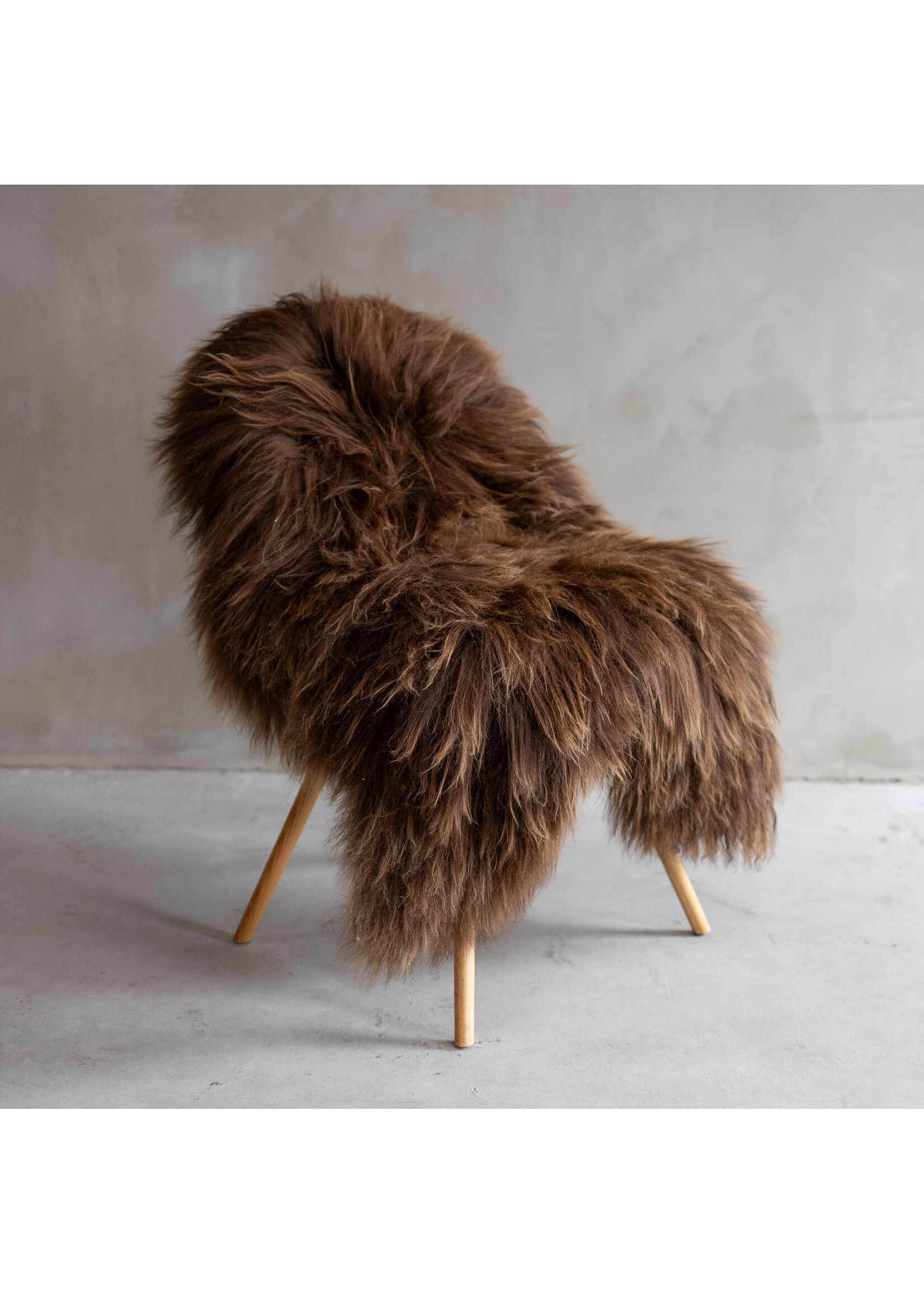 Van Buren sinds 1861 Isländisch Rostbraun - ca. 125x80cm - SVV-527