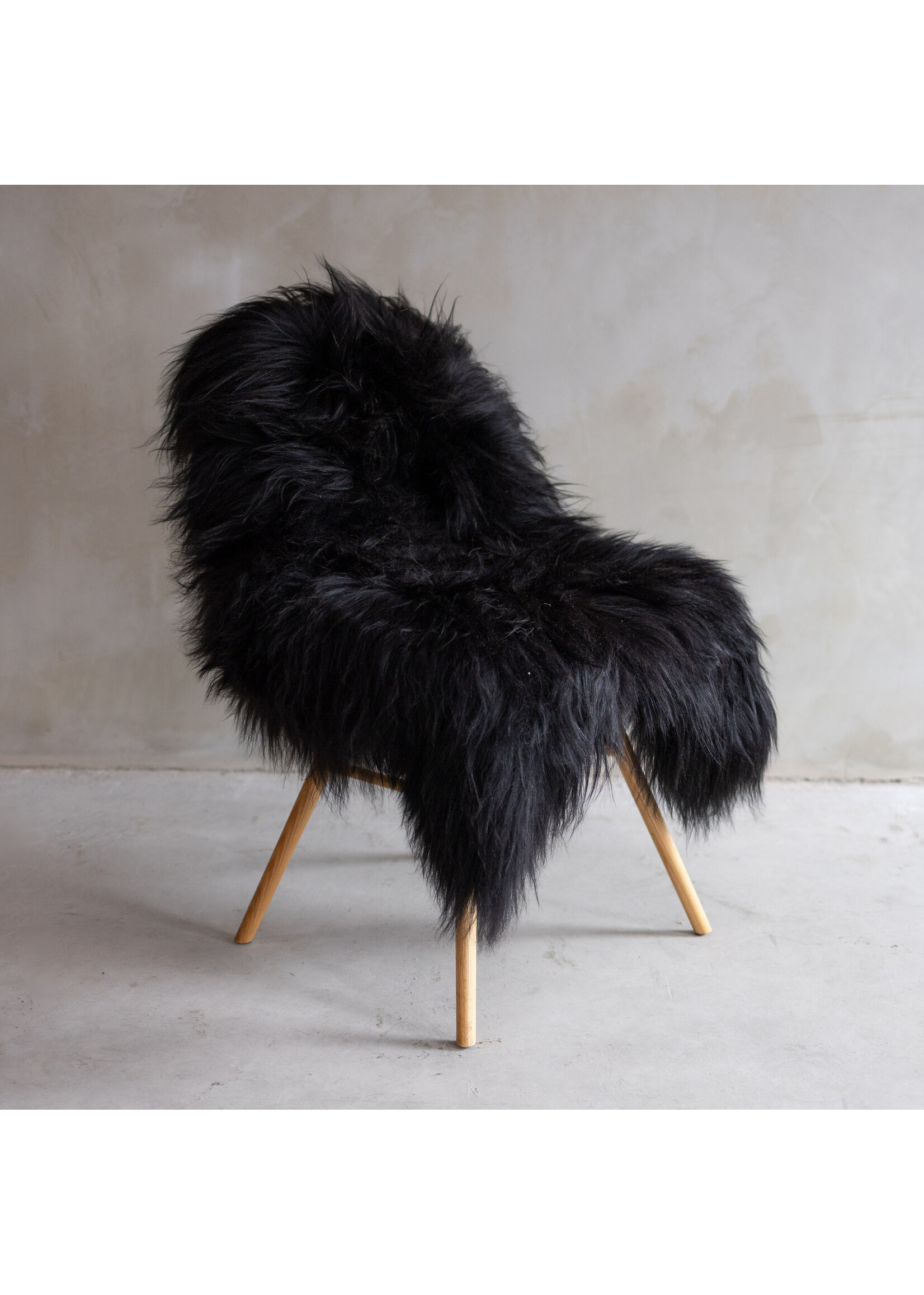 Van Buren sinds 1861 IJslands Schapenvacht Zwart - ca. 110x83cm - SVV-530