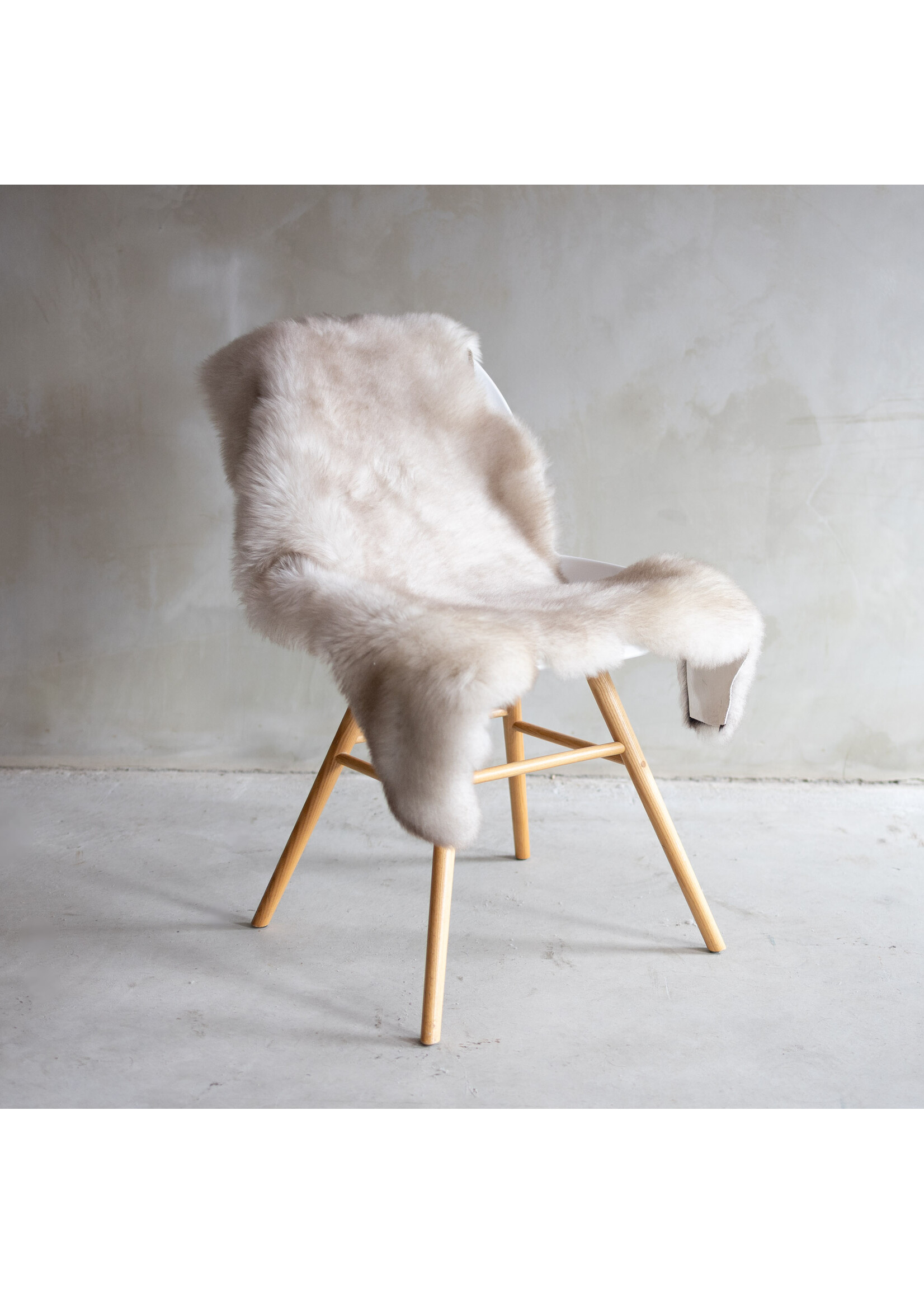 Van Buren sinds 1861 Deutsches Schwarzkopf - ca. 90x60cm - SVV-484