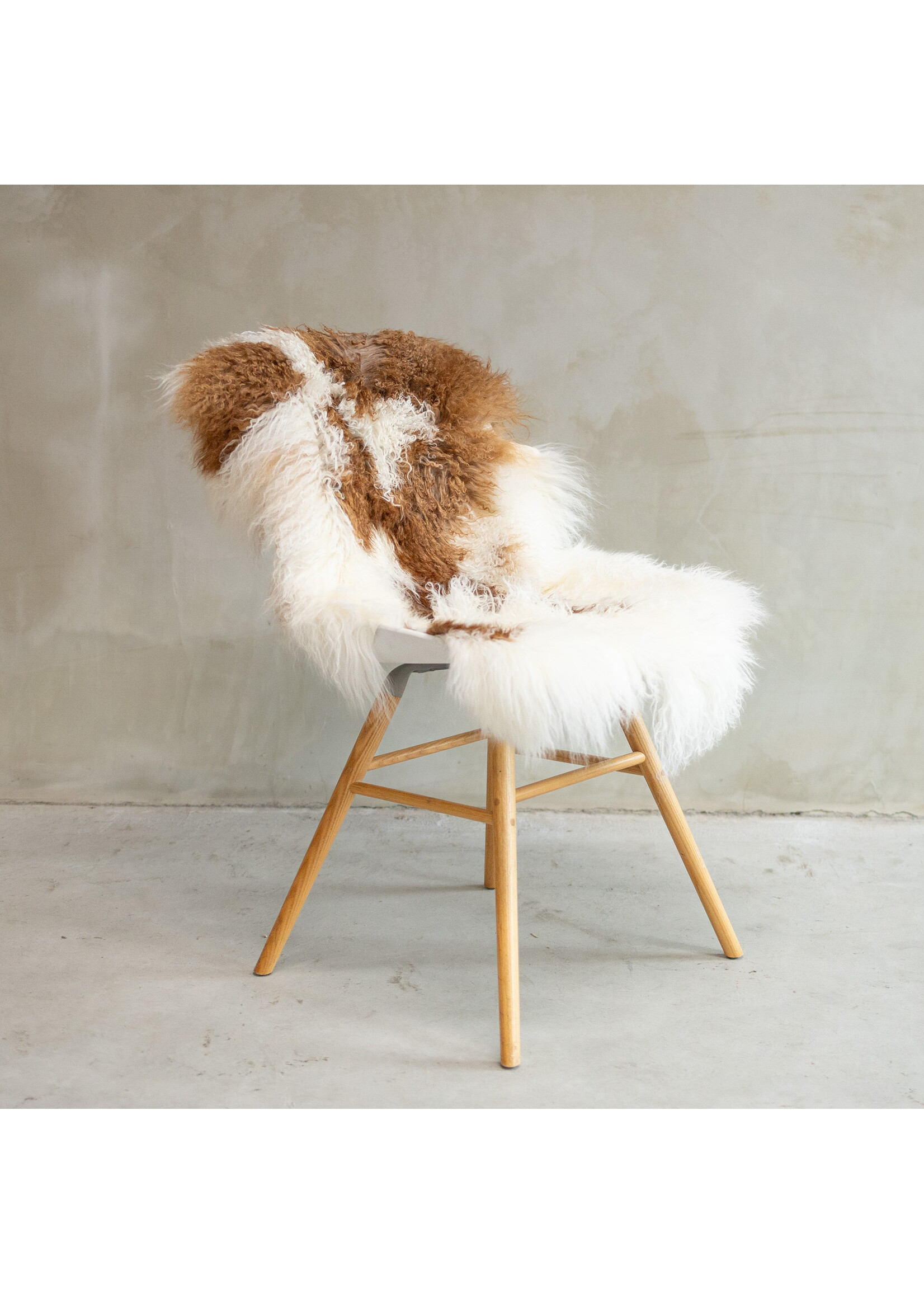 Van Buren sinds 1861 Tibetisch Schaffell Bunt - SVV-574 - ca. 109x65cm