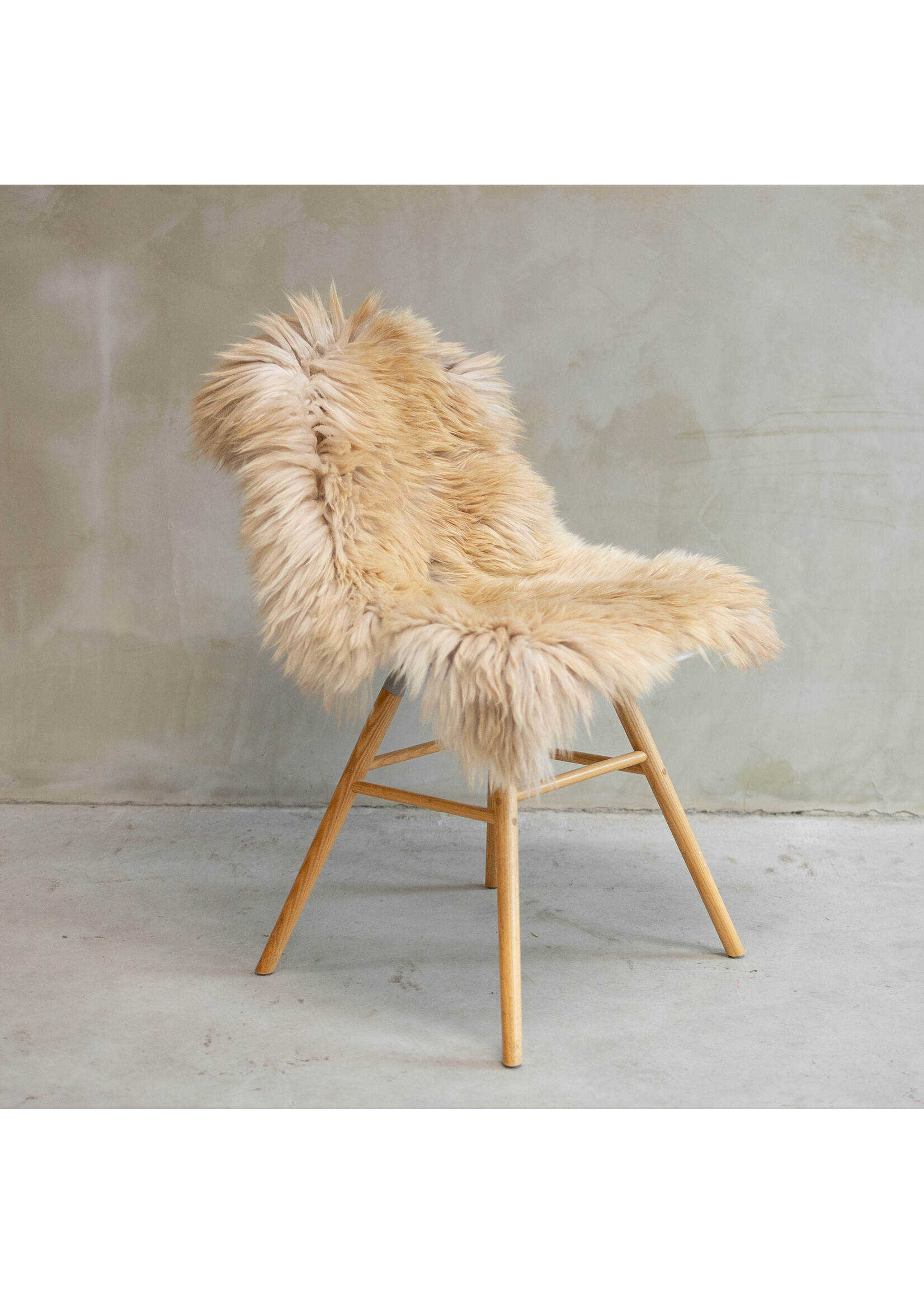 Van Buren sinds 1861 Solognote Schapenvacht - SVV-552 - ca. 104x64cm