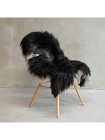 Van Buren sinds 1861 Isländisch Schaffell Bunt - SVV-550