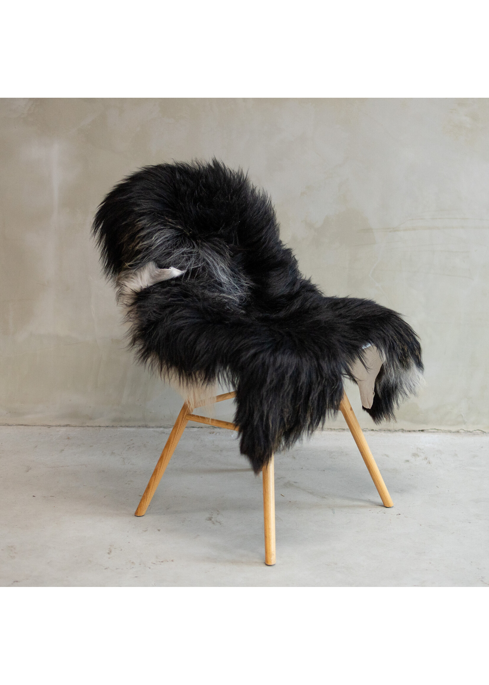 Van Buren sinds 1861 Isländisch Schaffell Bunt - SVV-550 - ca. 120x80cm