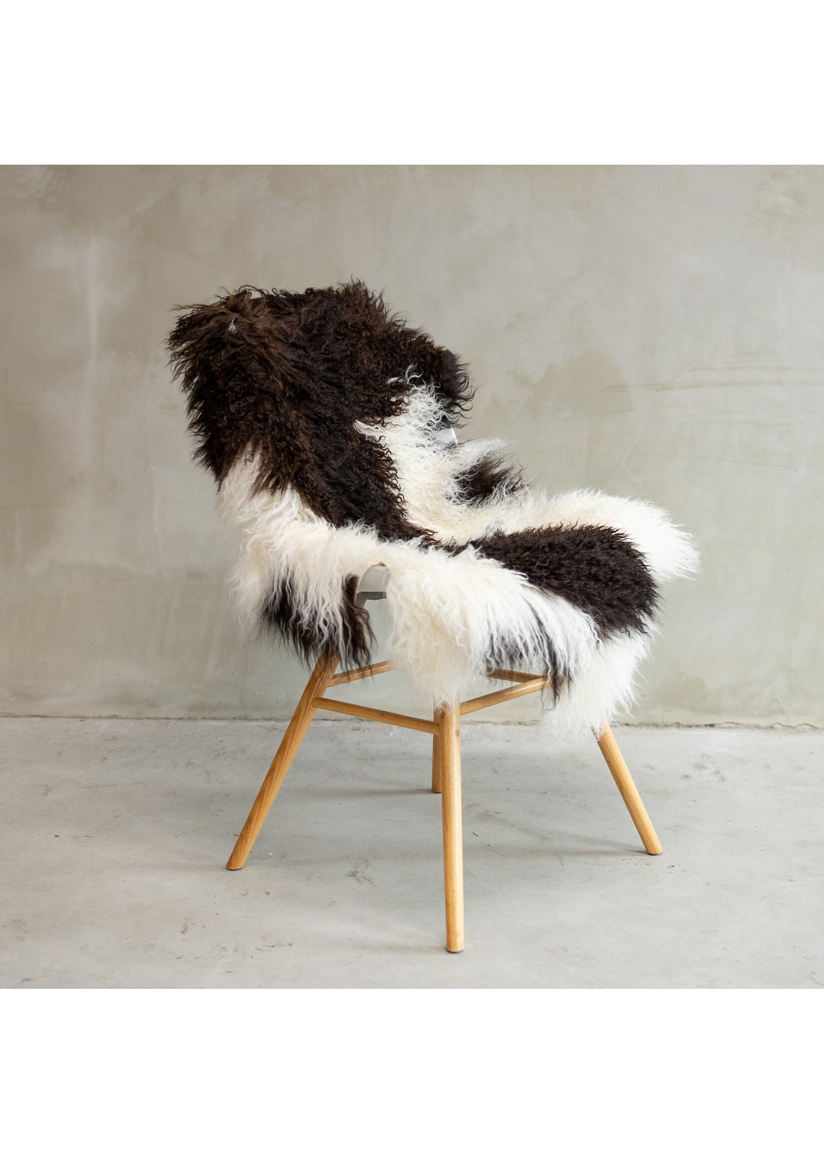 Van Buren sinds 1861 Tibetisch Schaffell Bunt - SVV-568 - ca. 113x64cm