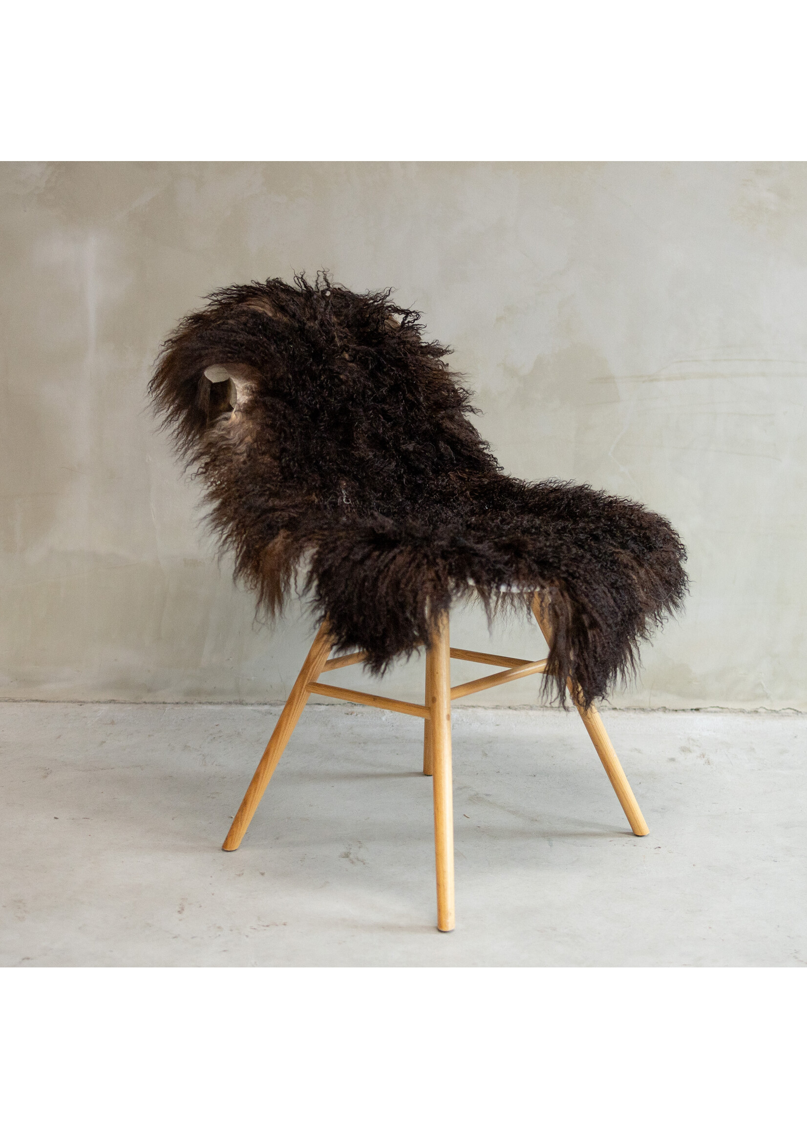 Van Buren sinds 1861 Tibetaans Schapenvacht Bont - SVV-576 - ca. 118x72cm