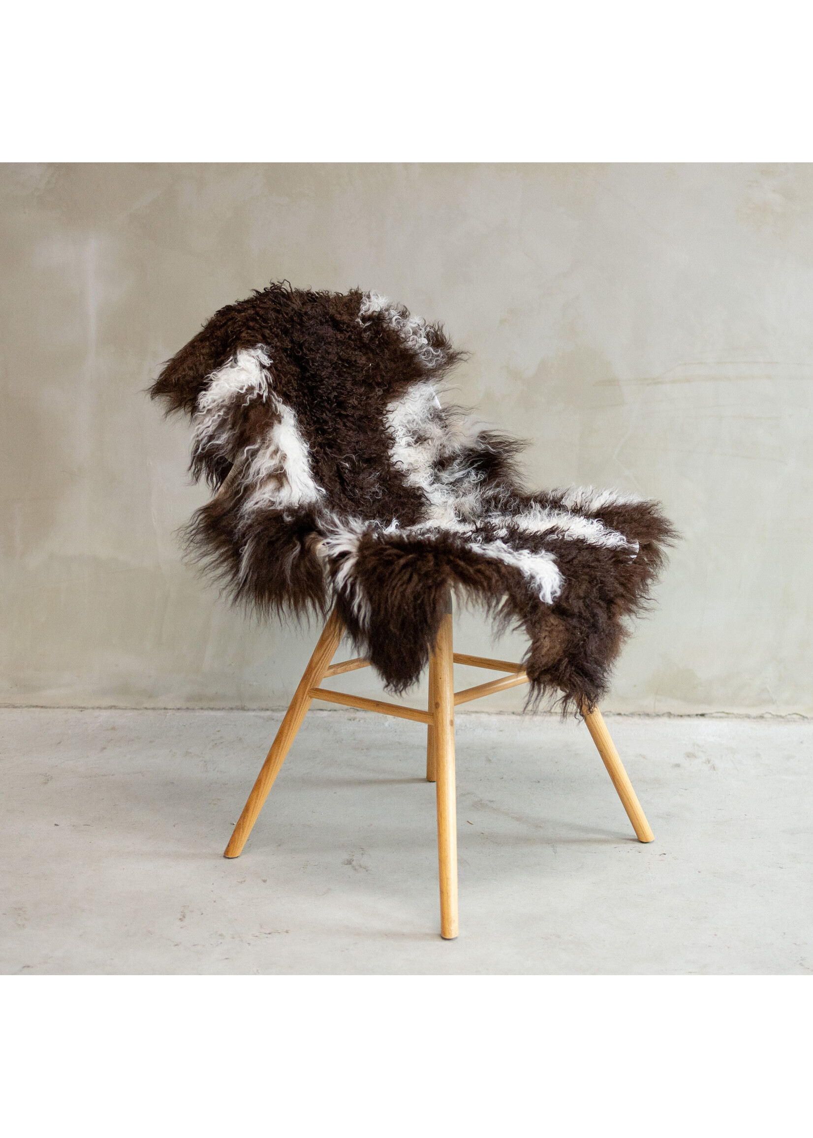 Van Buren sinds 1861 Tibetisch Schaffell Bunt - SVV-575 - ca. 128x60cm