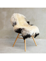 Van Buren sinds 1861 Blauwe Texelaar Schapenvacht - SVV-586