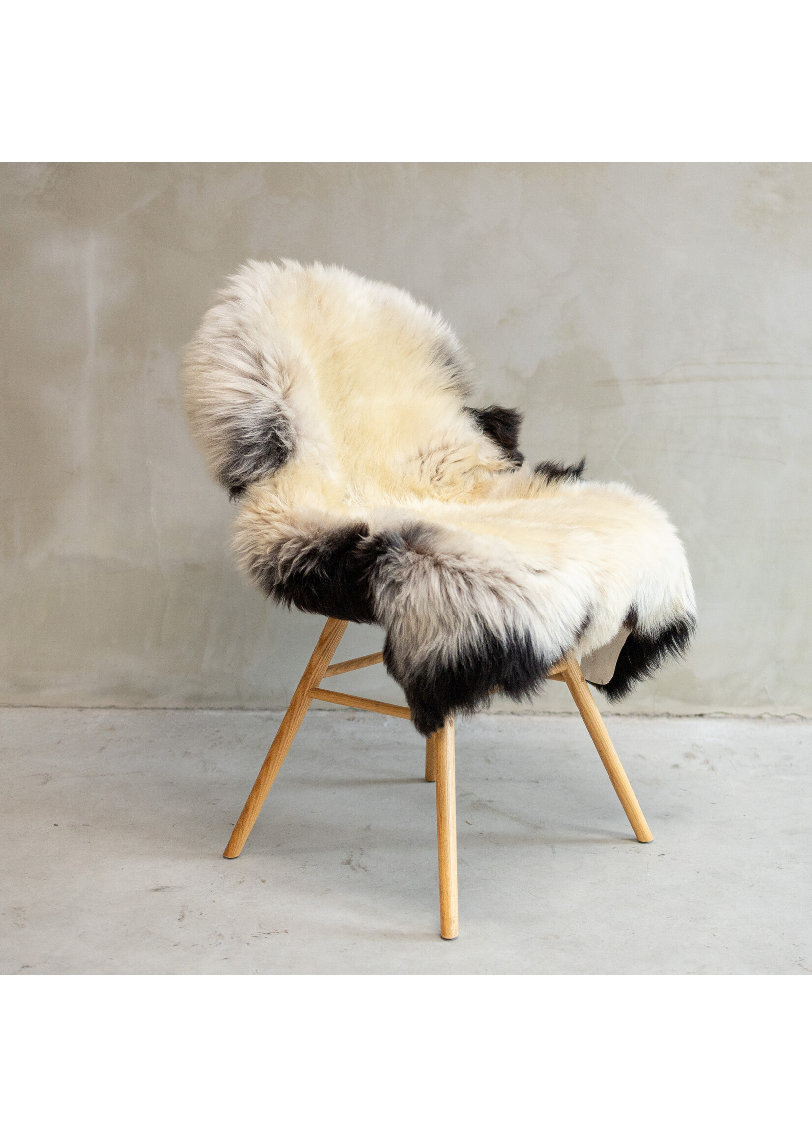 Van Buren sinds 1861 Blauer Texeler Schaffell - SVV-586 - ca. 108x74cm