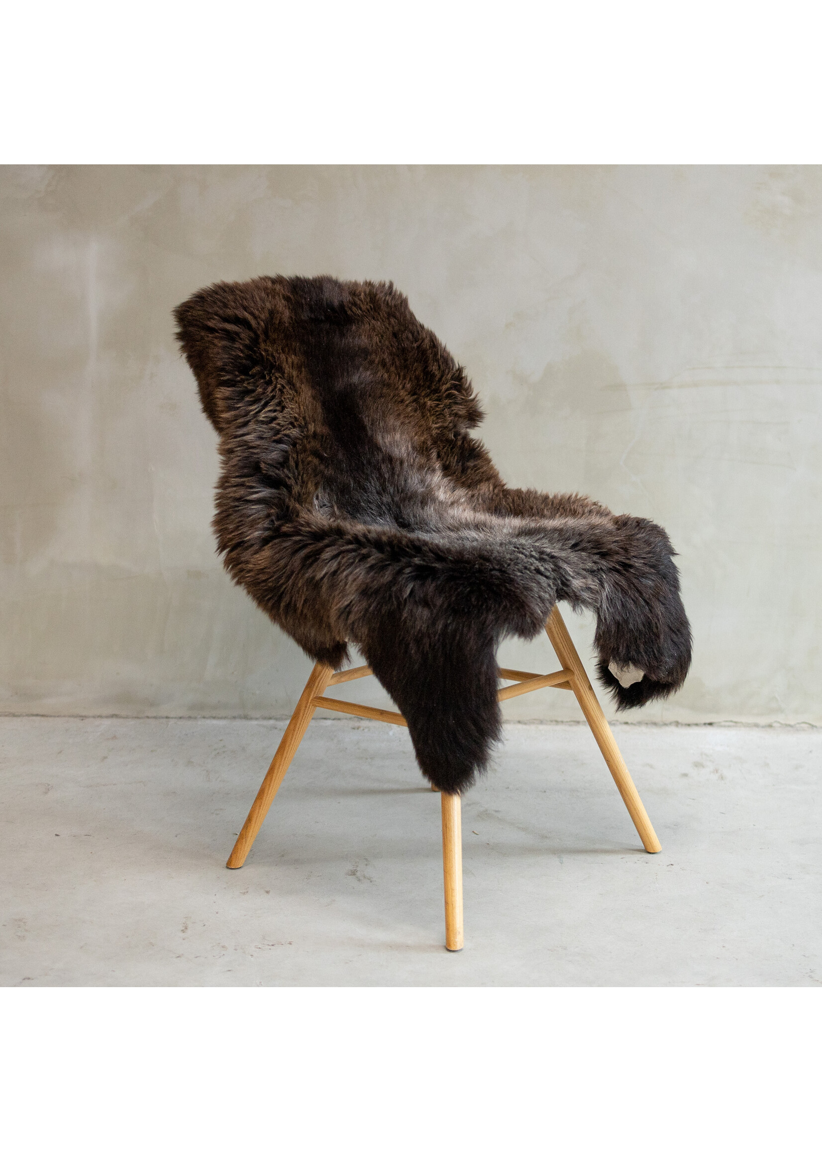 Van Buren sinds 1861 Blauwe Texelaar Schapenvacht - SVV-580 - ca. 105x77cm