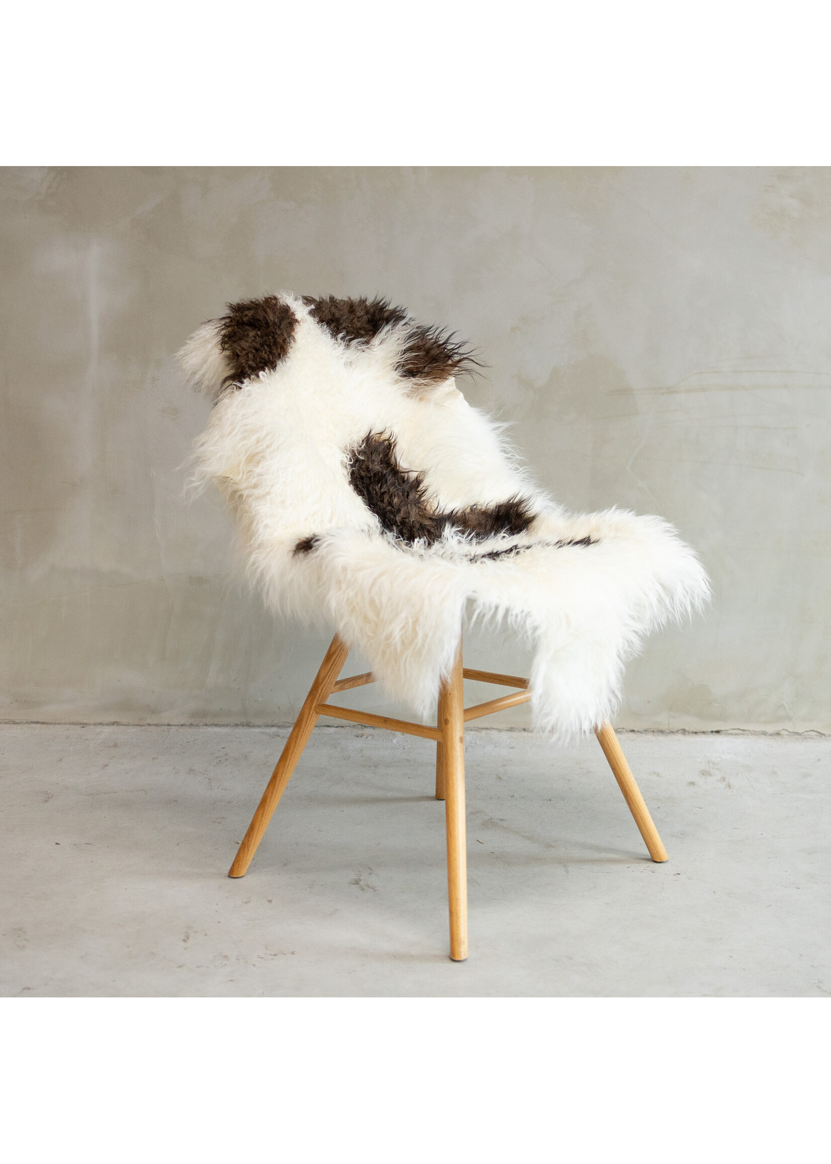 Van Buren sinds 1861 Tibetisch Schaffell Bunt - SVV-577 - ca. 110x70cm