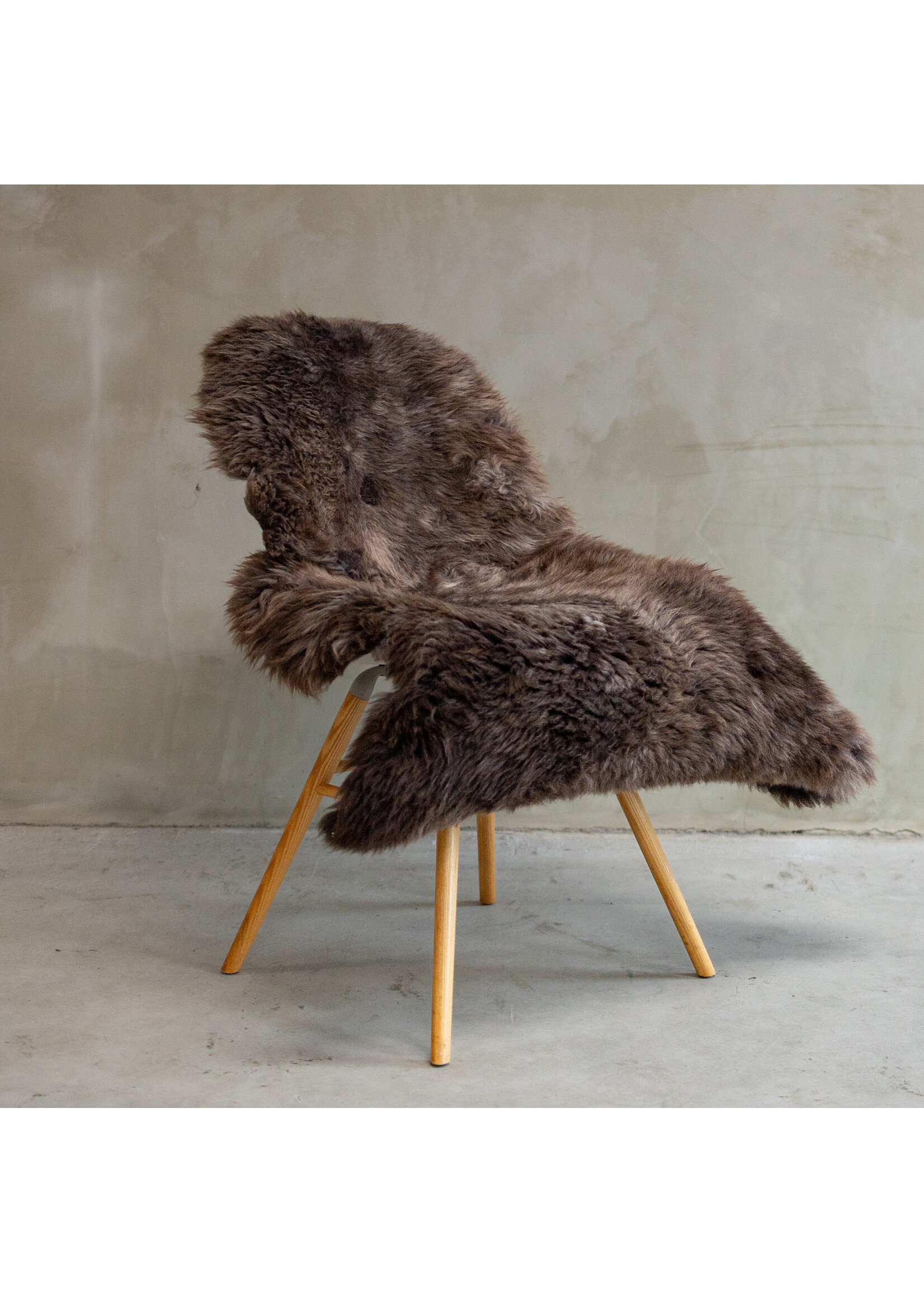 Van Buren sinds 1861 Einzigartig fotografiertes Texeler meliertes Schaffell ca. 104x72cm - SVV-622