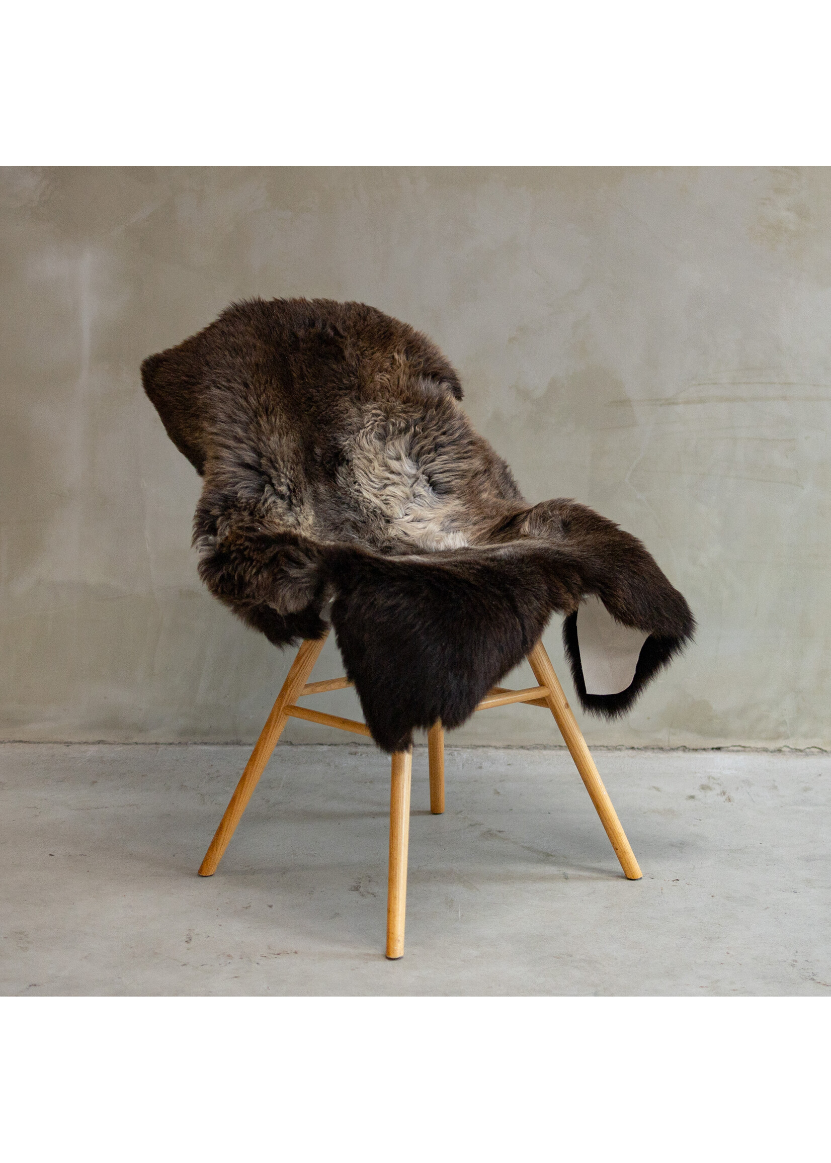 Van Buren sinds 1861 Uniquely Photographed Blue Texel Sheepskin approx. 104x72cm - SVV-629