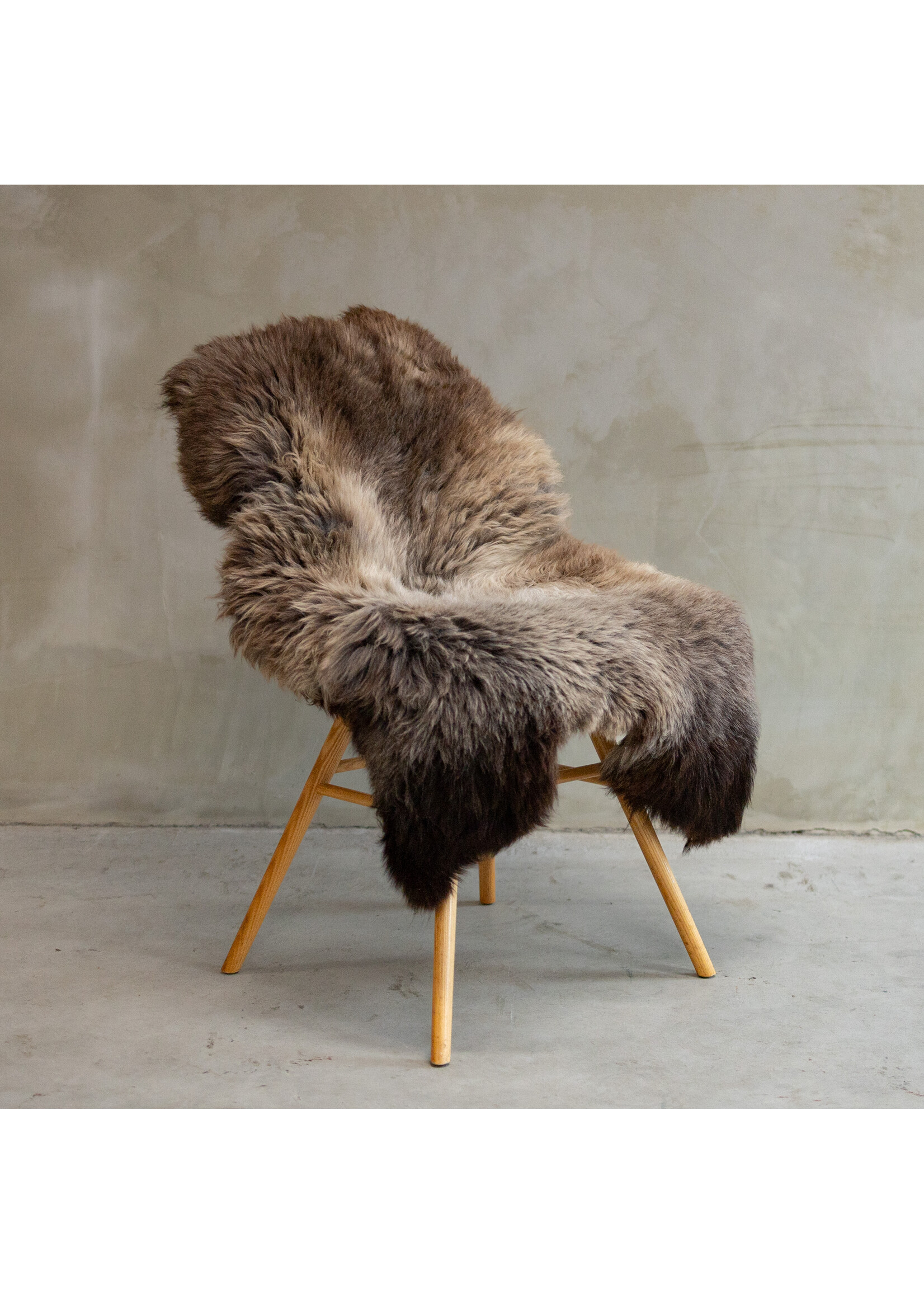 Van Buren sinds 1861 Uniquely Photographed Blue Texel Sheepskin approx. 110x74cm - SVV-627