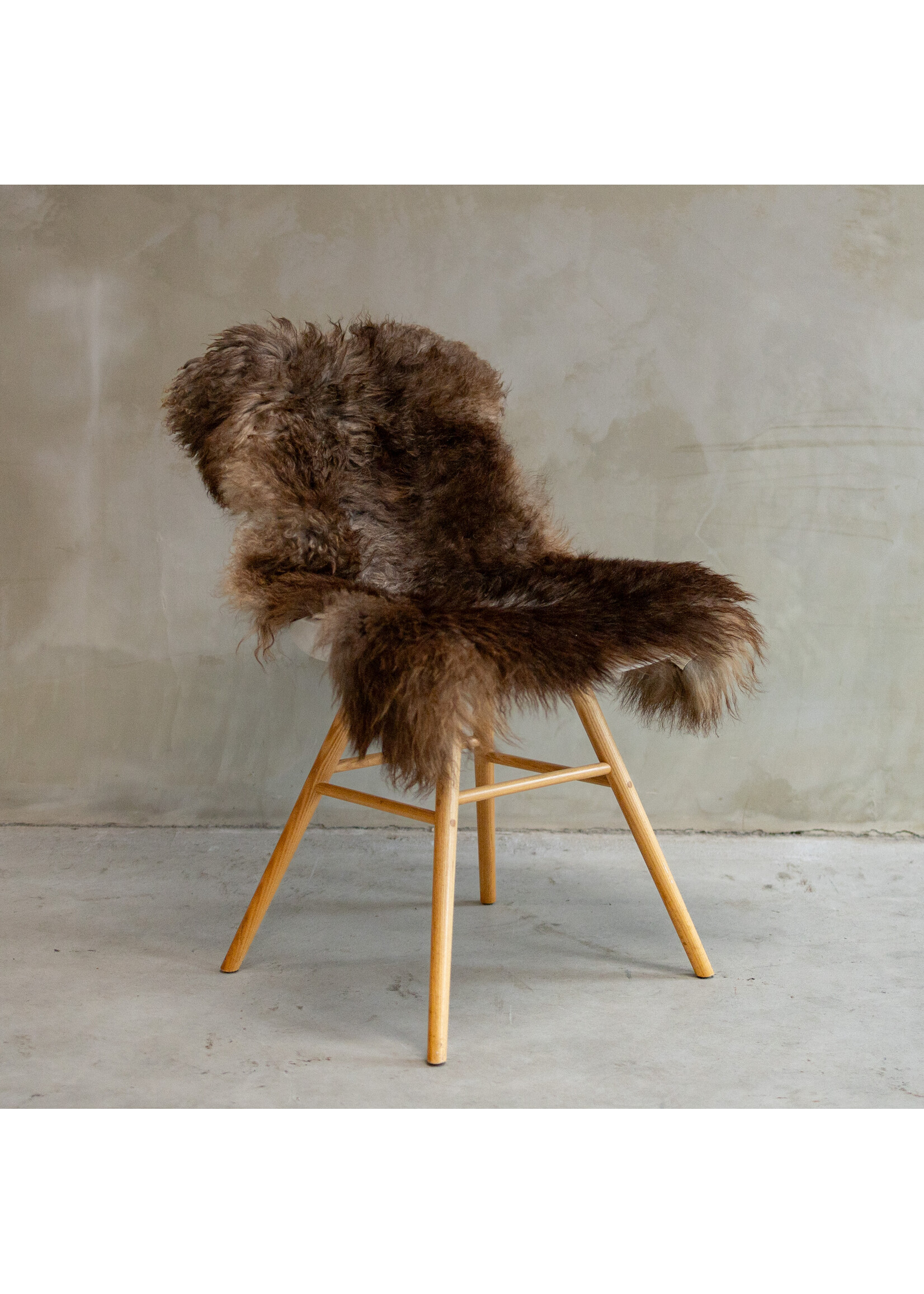 Van Buren sinds 1861 Einzigartig fotografiertes Tibetisches buntes Schaffell ca. 95x60cm - SVV-597