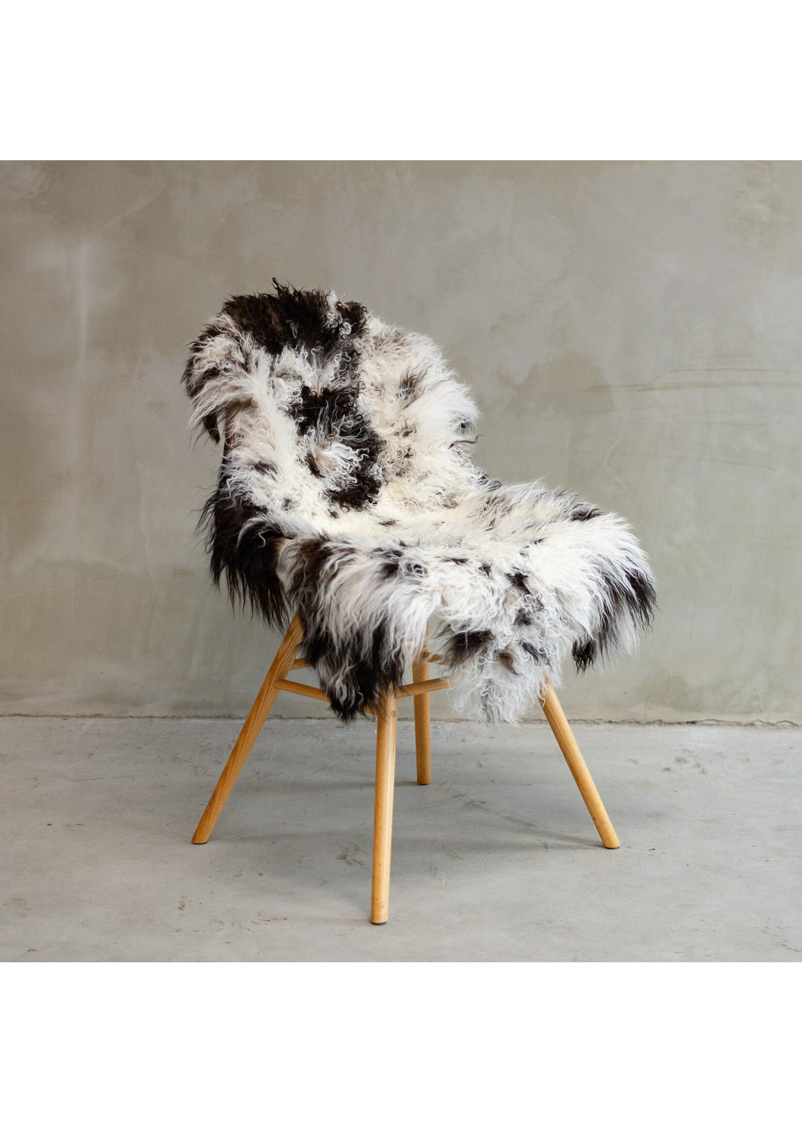 Van Buren sinds 1861 Uniquely Photographed Tibetan Spotted Sheepskin approx. 110x68cm - SVV-600