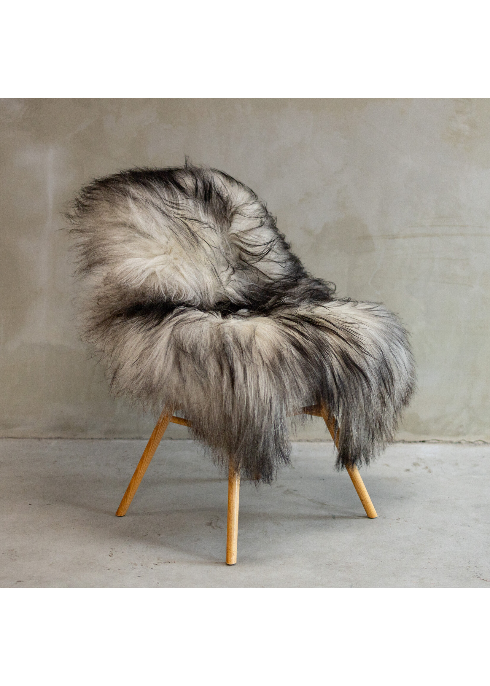 Van Buren sinds 1861 Uniek Gefotografeerd IJslands Grijs Schapenvacht XXL ca. 123x87cm - SVV-612