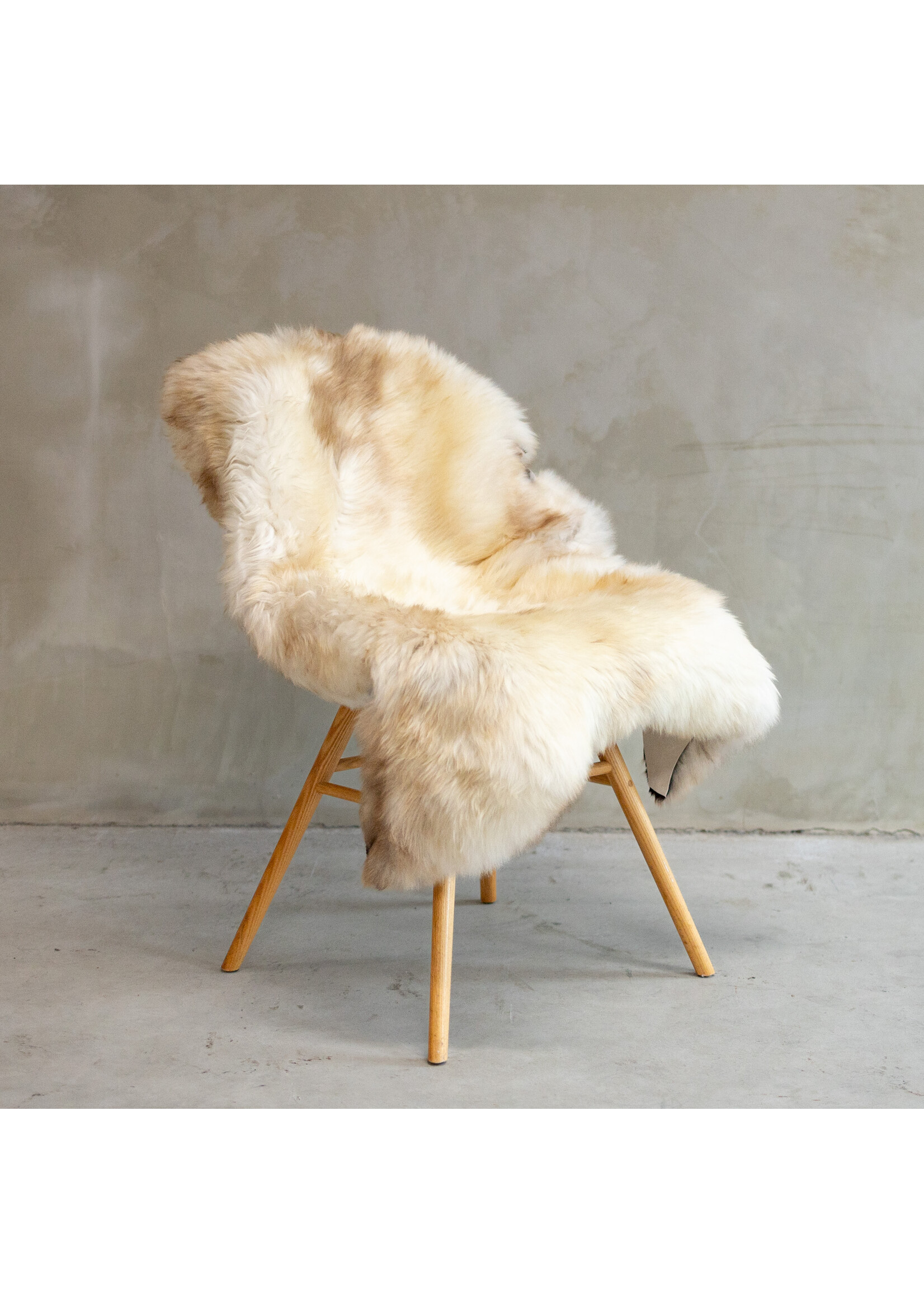 Van Buren sinds 1861 Uniek Gefotografeerd Texels Gemêleerd Schapenvacht ca. 117x75cm - SVV-606